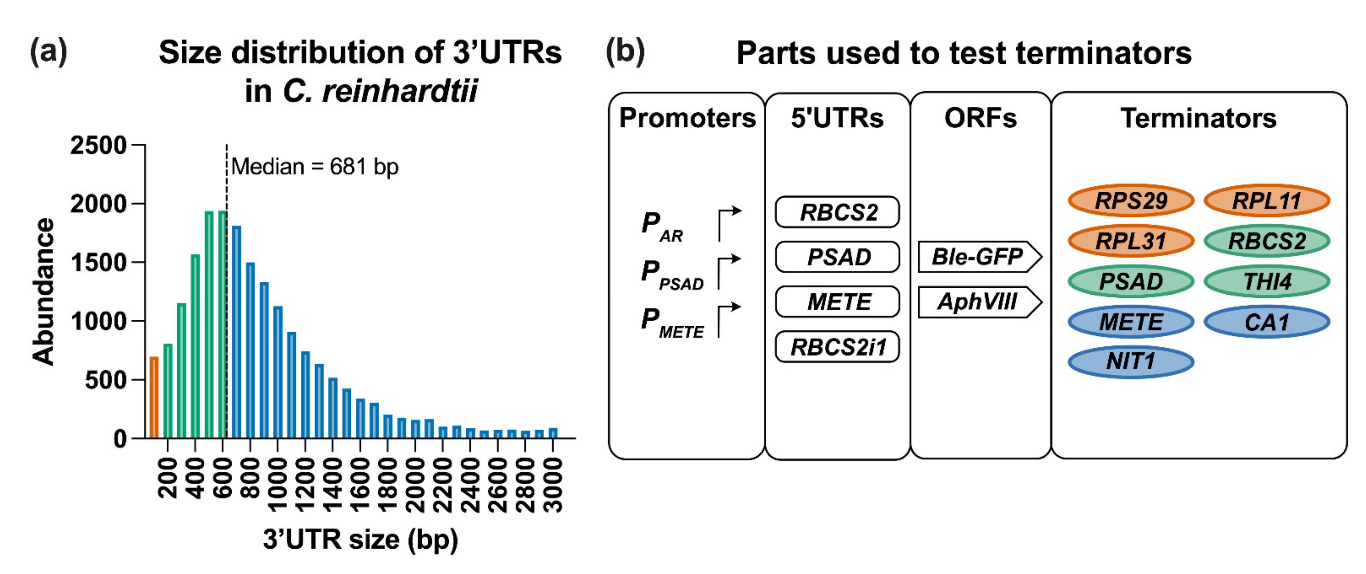 Life 11 00964 g002 550