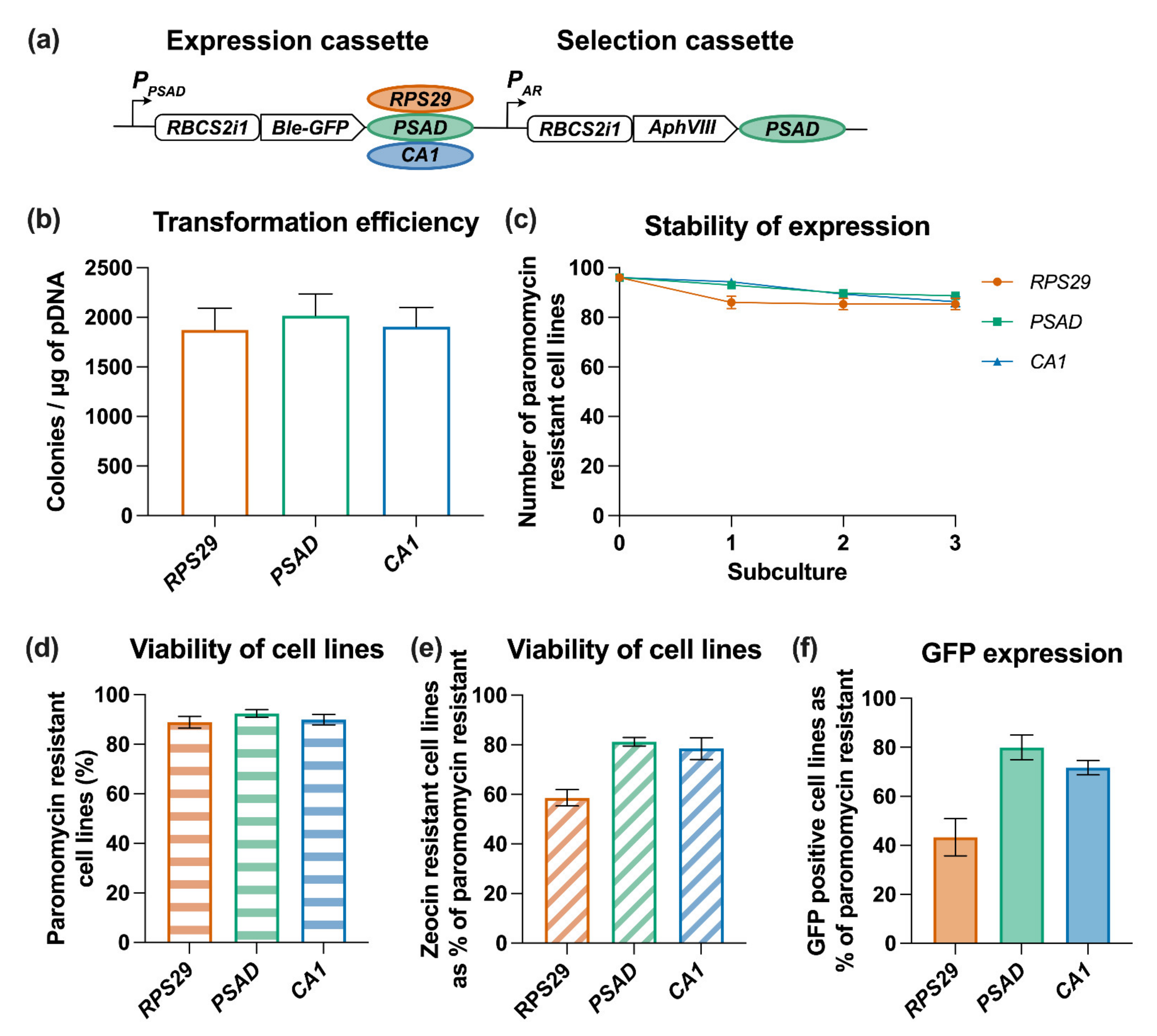 Life 11 00964 g006 550