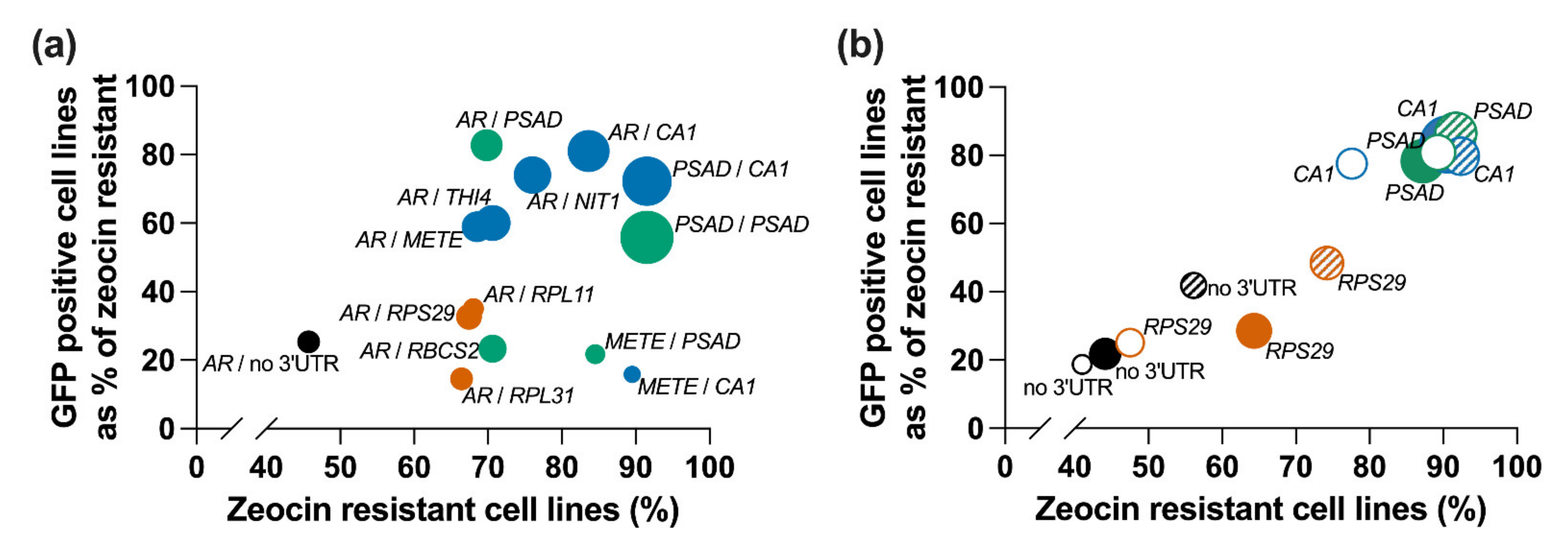 Life 11 00964 g007 550