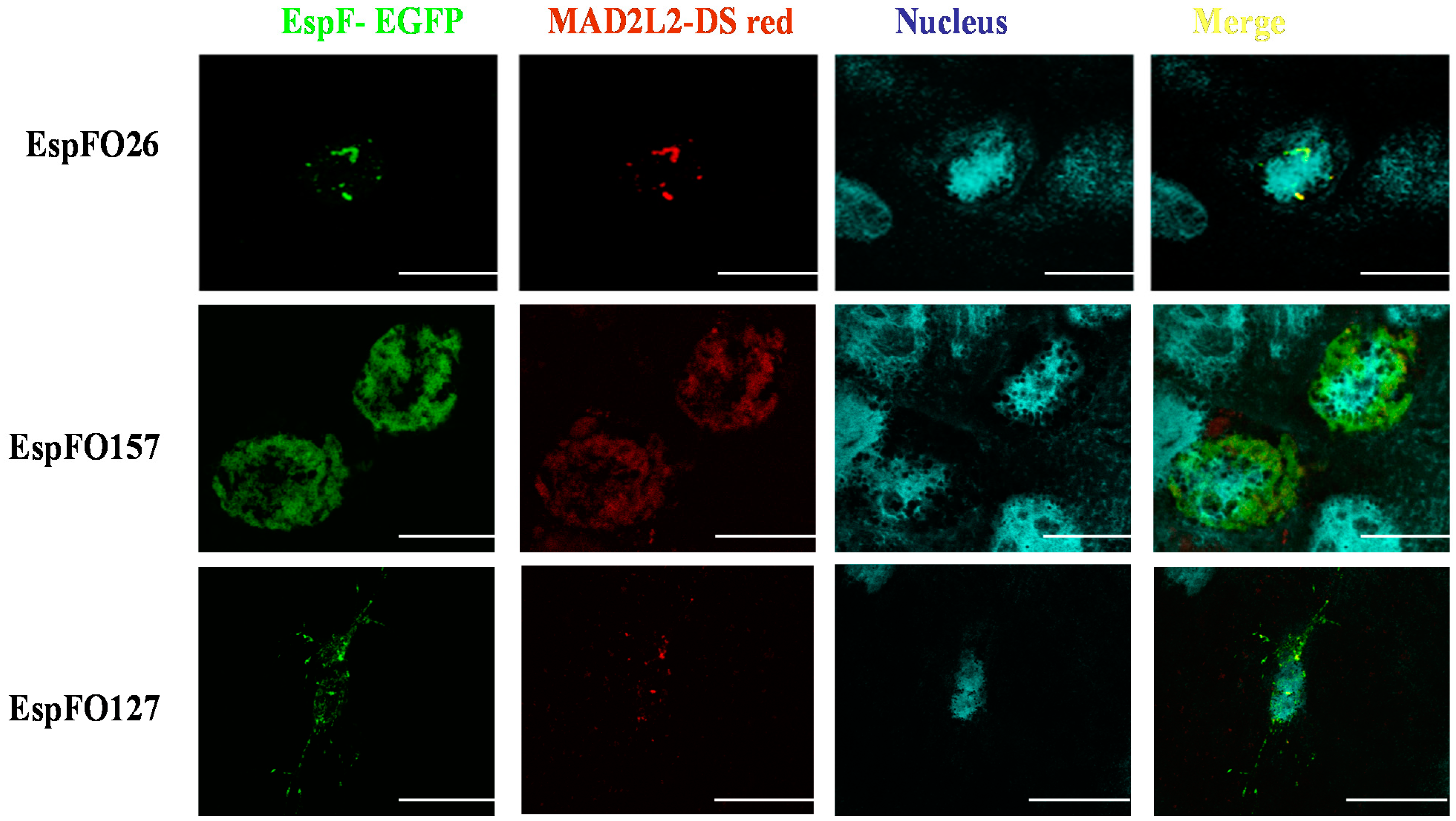 Life 11 00971 g003 Life 11 00971 g003