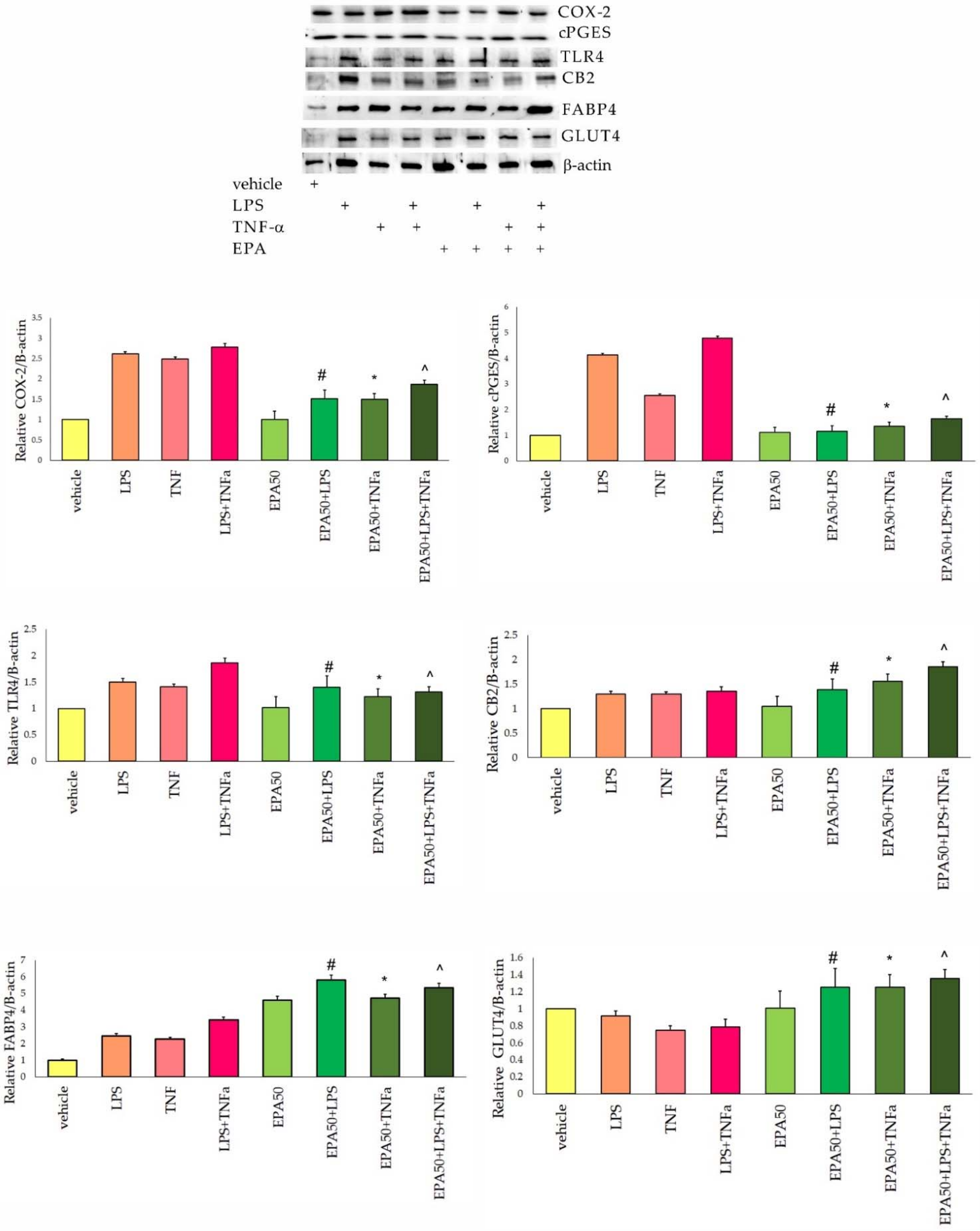 Life 11 00977 g001 550