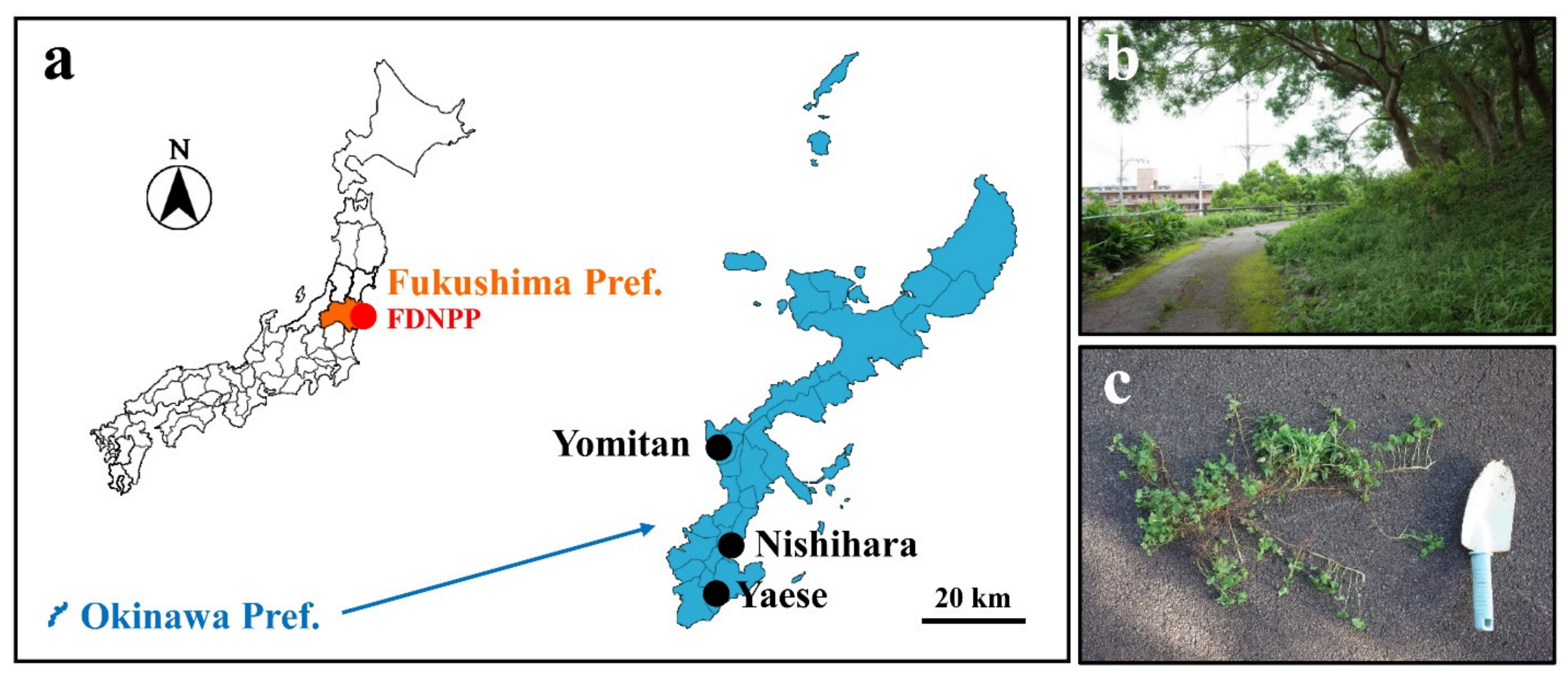 Life 11 00990 g001 Life 11 00990 g001