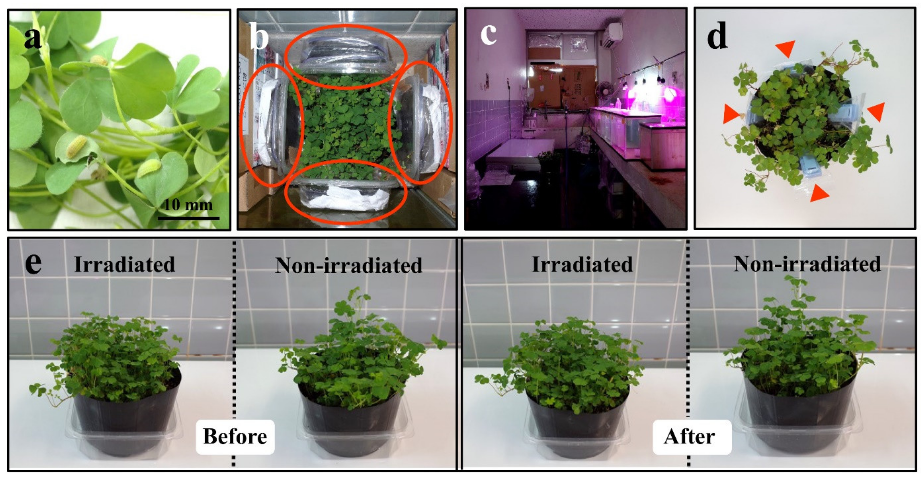 Life 11 00990 g002 Life 11 00990 g002