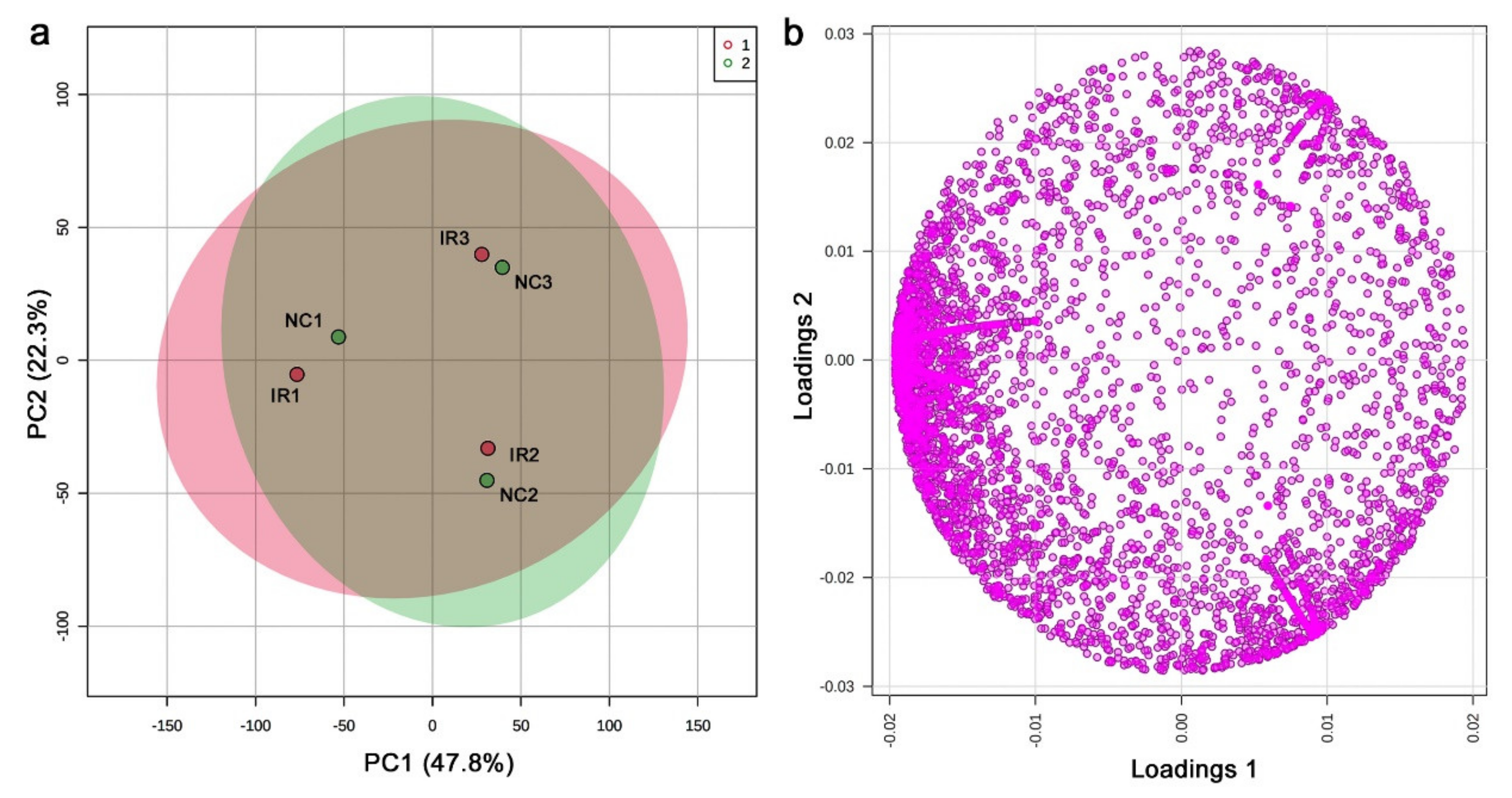 Life 11 00990 g011 Life 11 00990 g011