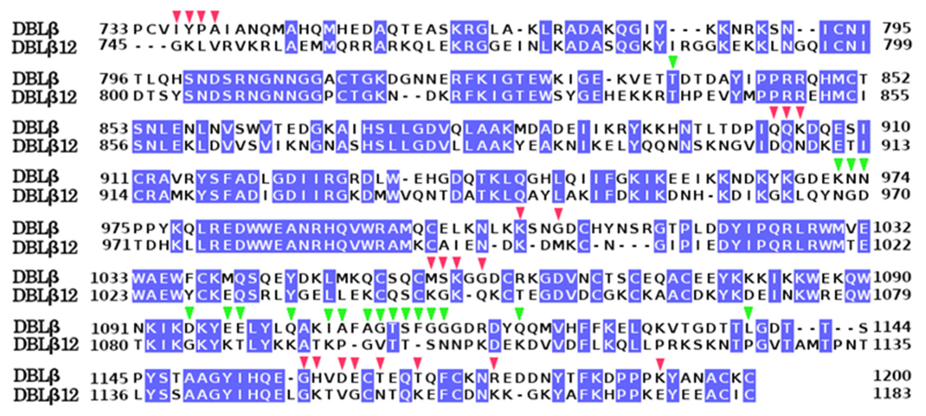 Life 11 00993 g001 Life 11 00993 g001