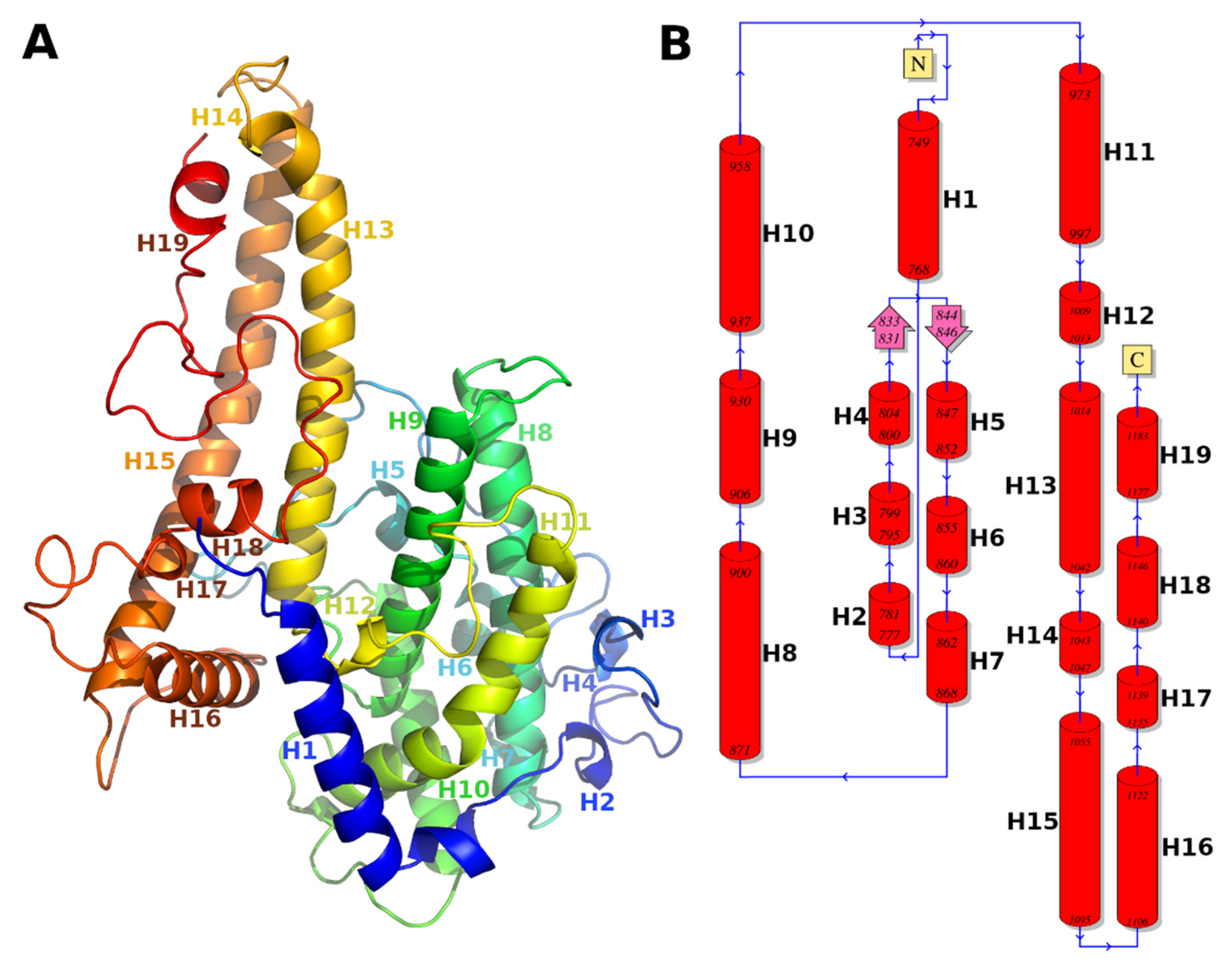 Life 11 00993 g002 Life 11 00993 g002