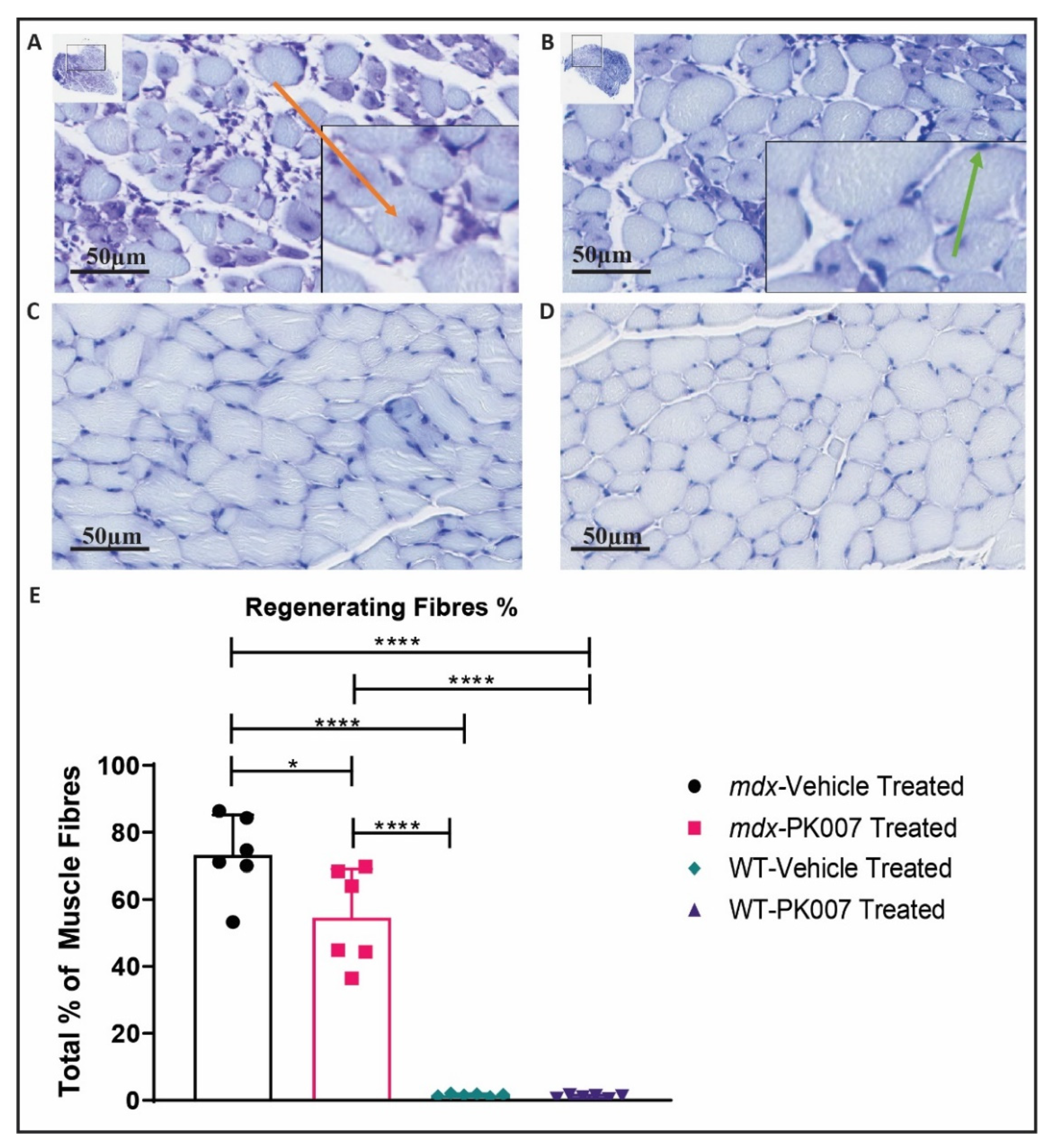 Life 11 00994 g003 Life 11 00994 g003