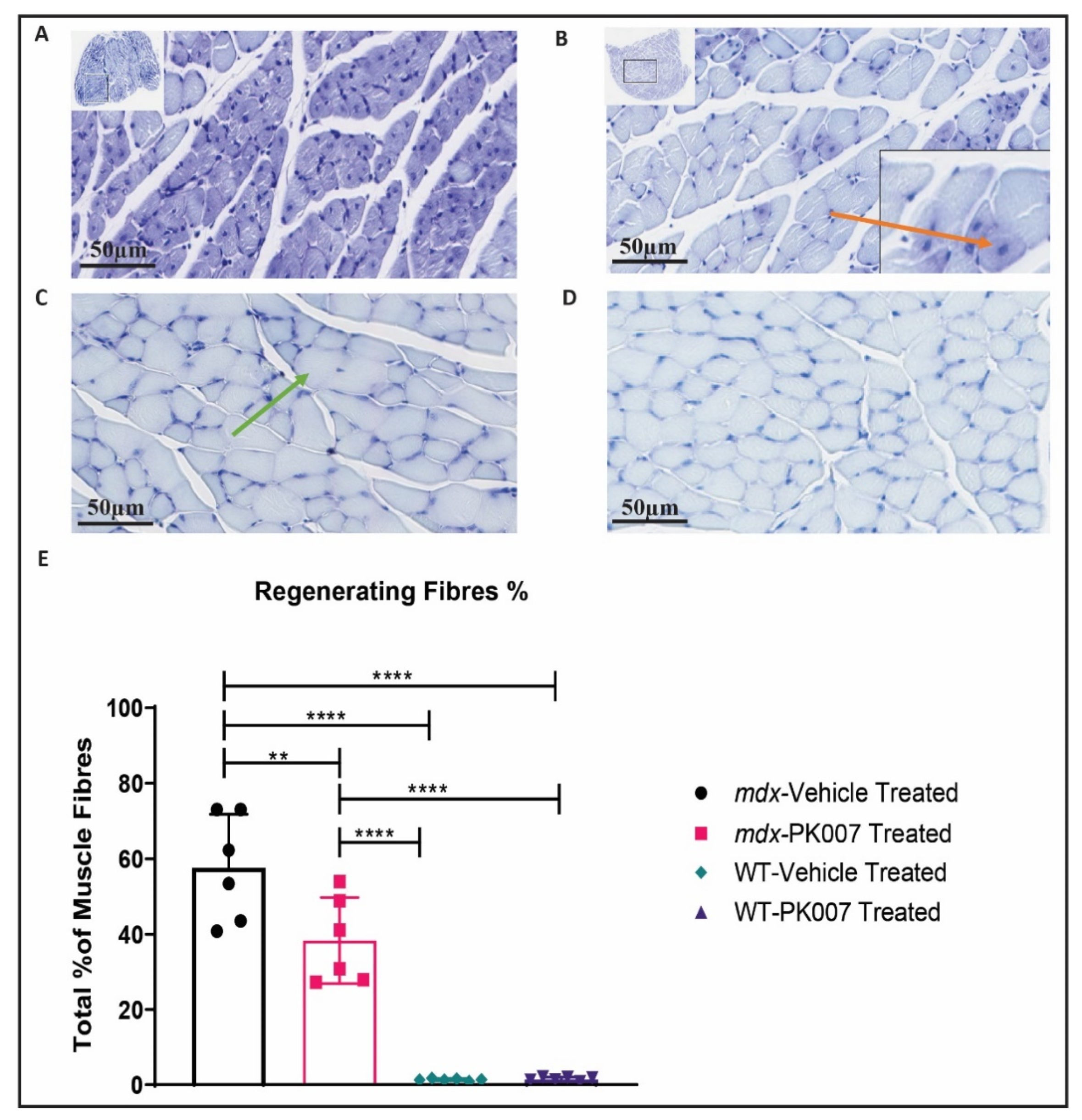 Life 11 00994 g004 Life 11 00994 g004