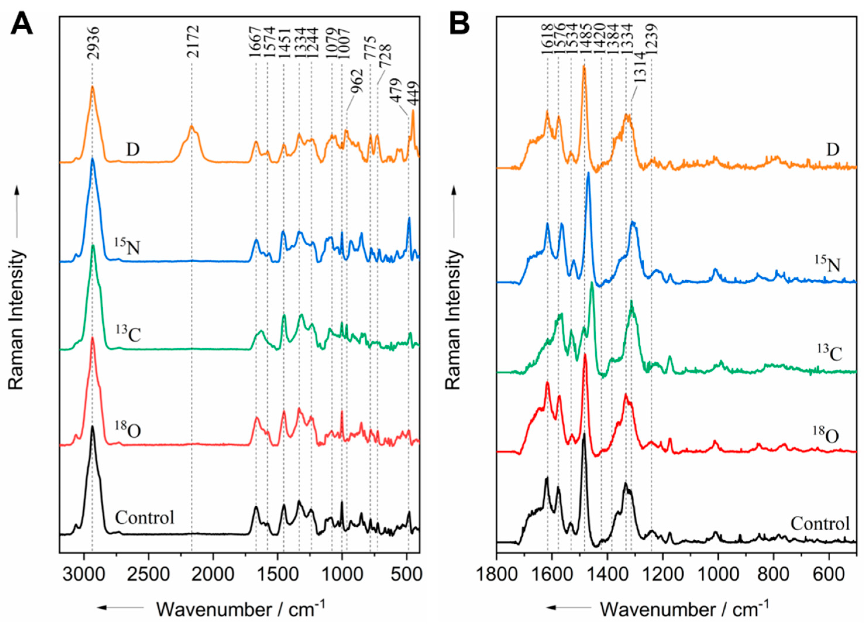 Life 11 01003 g001 Life 11 01003 g001
