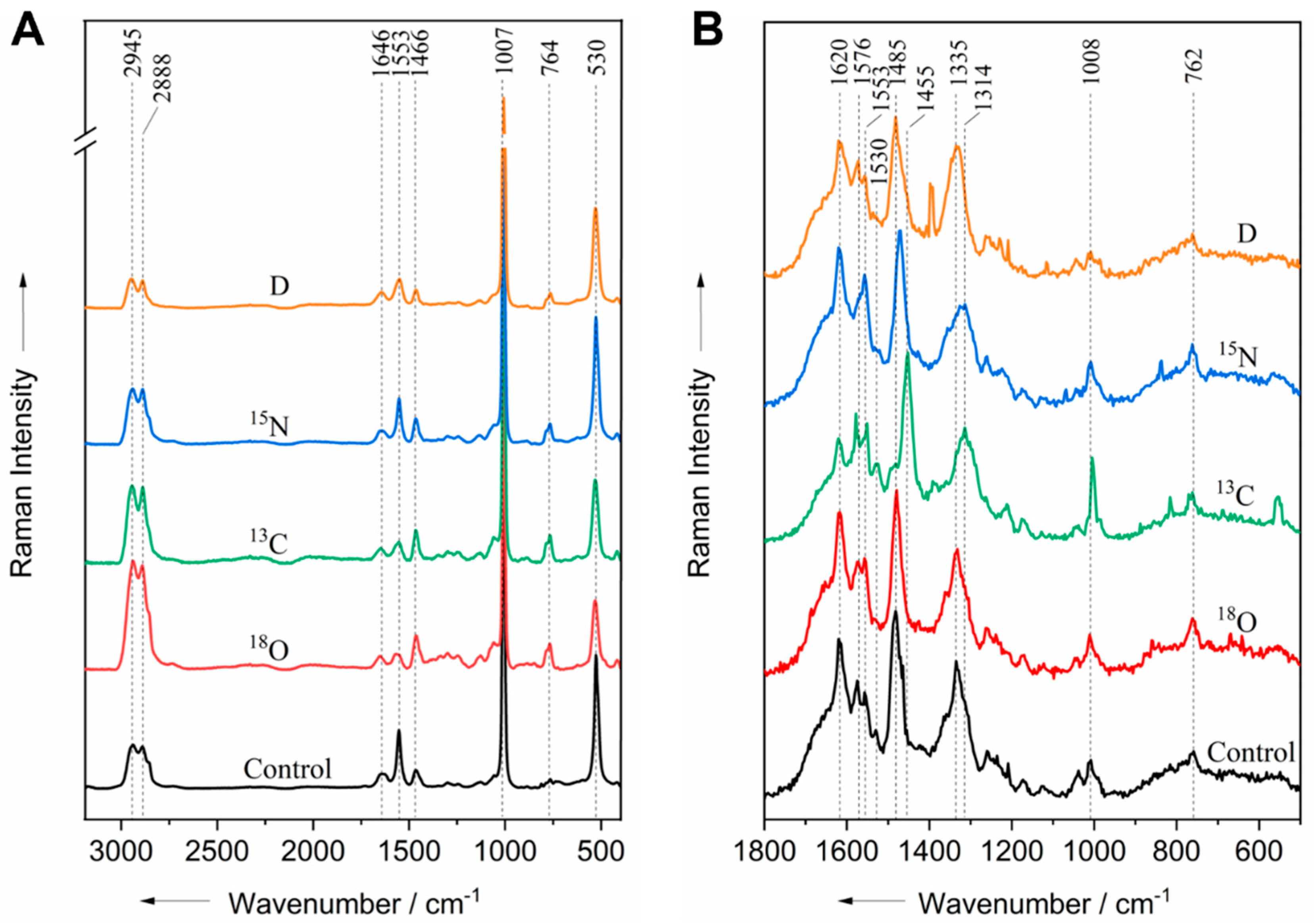 Life 11 01003 g003 Life 11 01003 g003