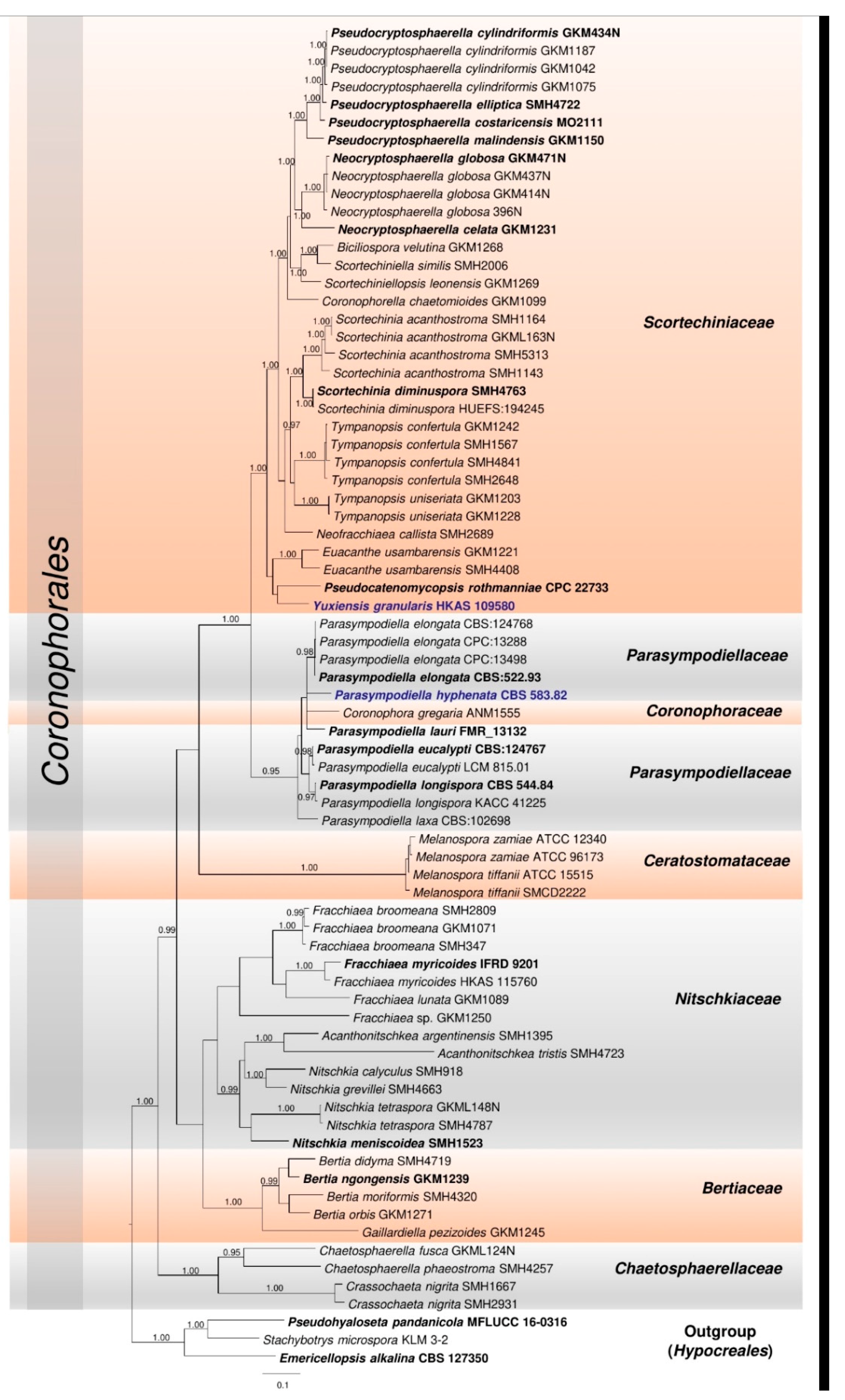 Life 11 01011 g0a1 Life 11 01011 g0a1