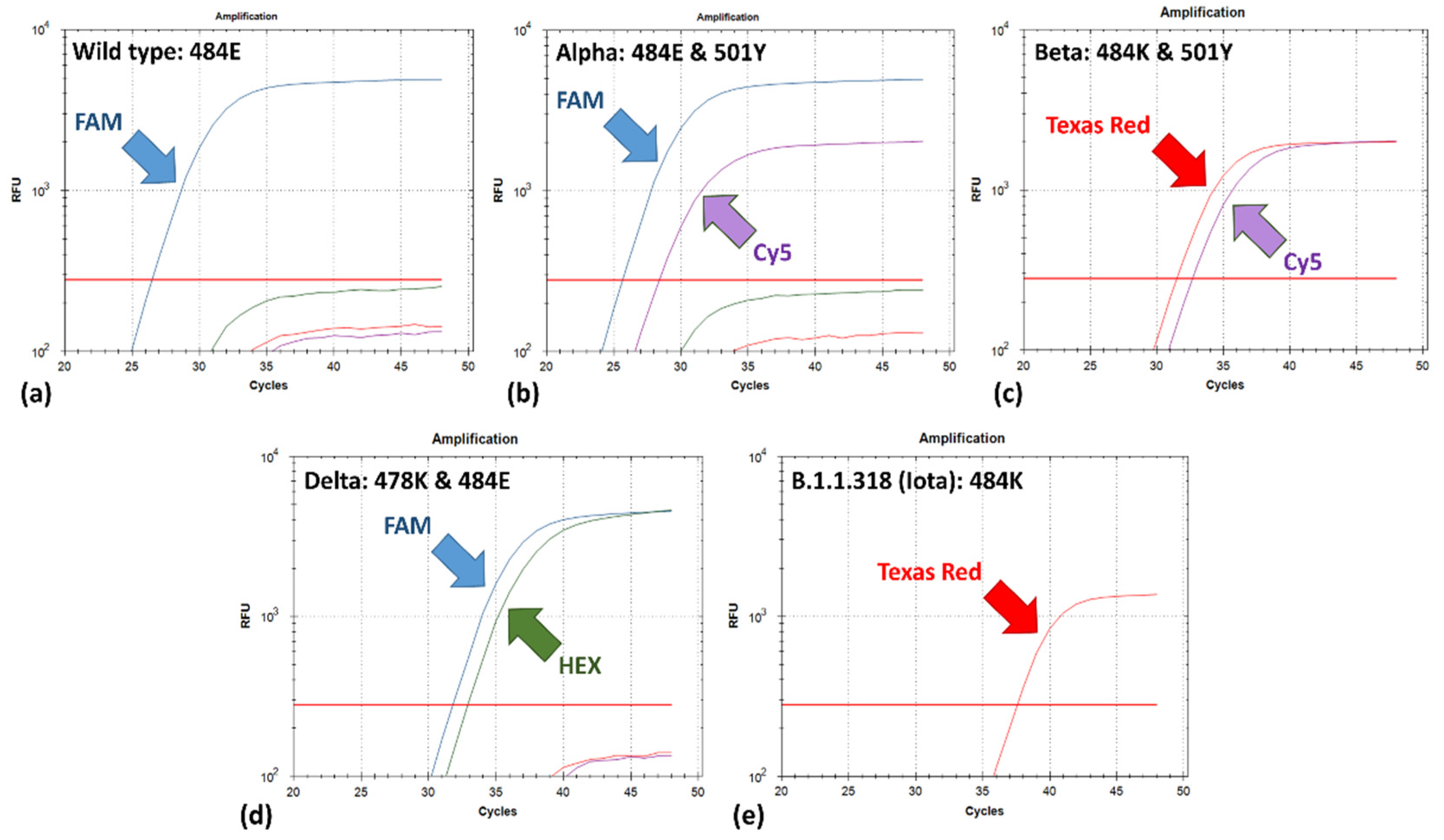 Life 11 01015 g003 550