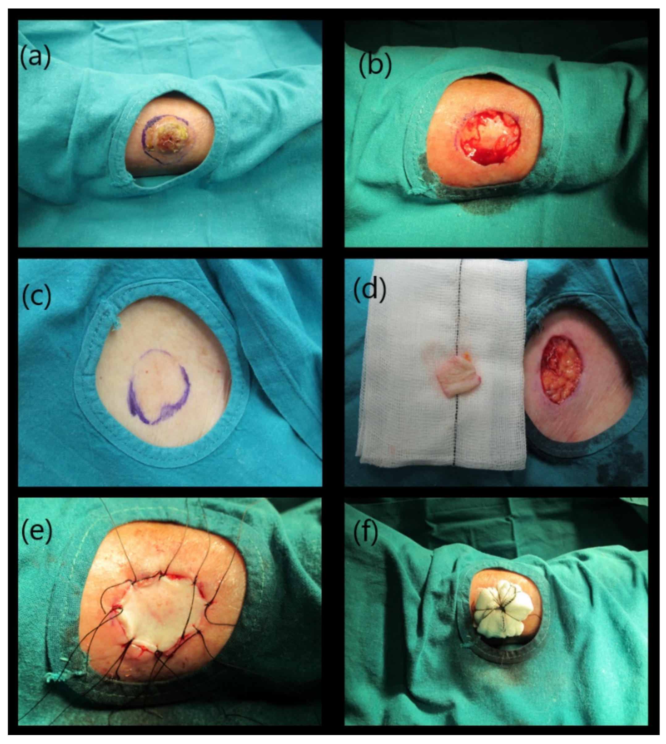 Life 11 01033 g003 Life 11 01033 g003