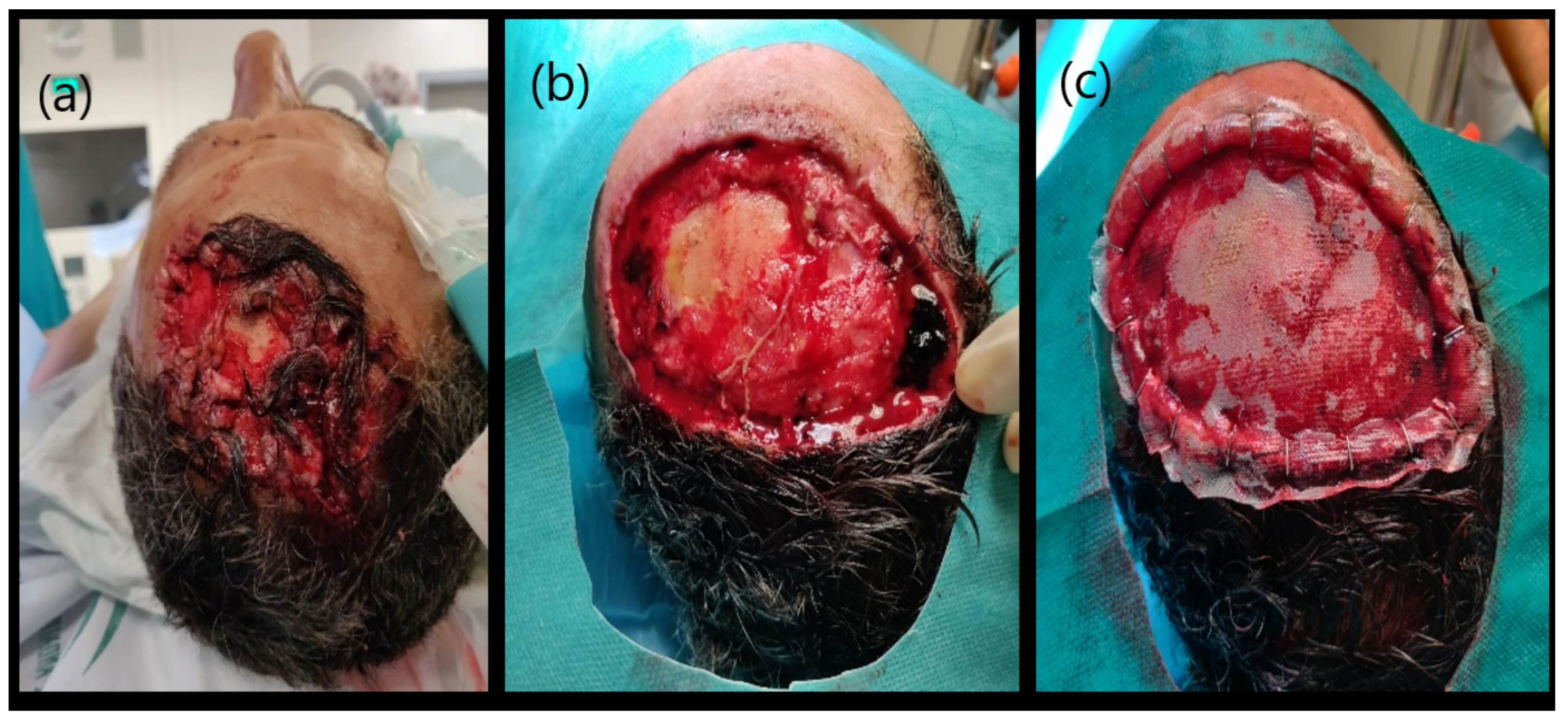 Life 11 01033 g004 Life 11 01033 g004