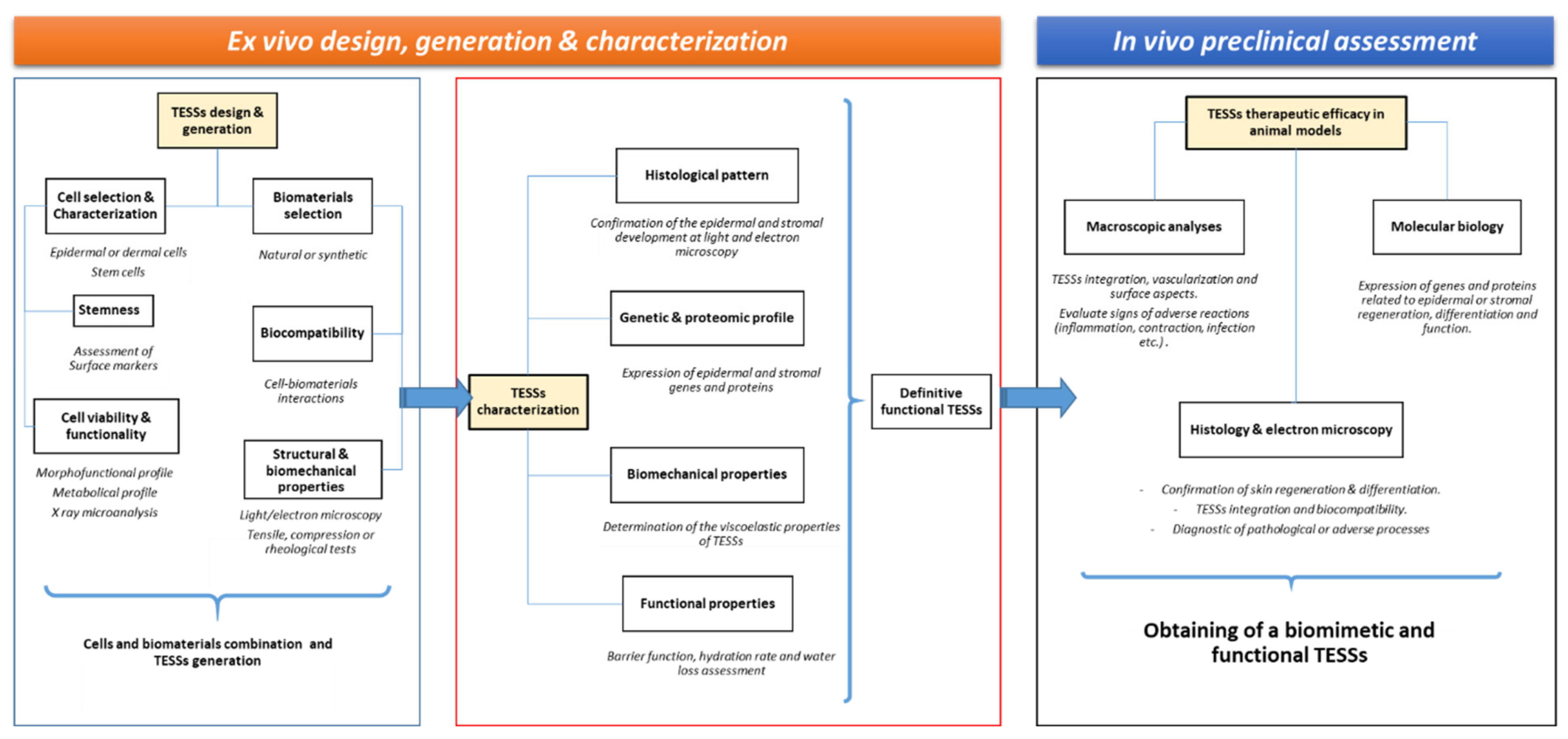 Life 11 01033 g006 Life 11 01033 g006