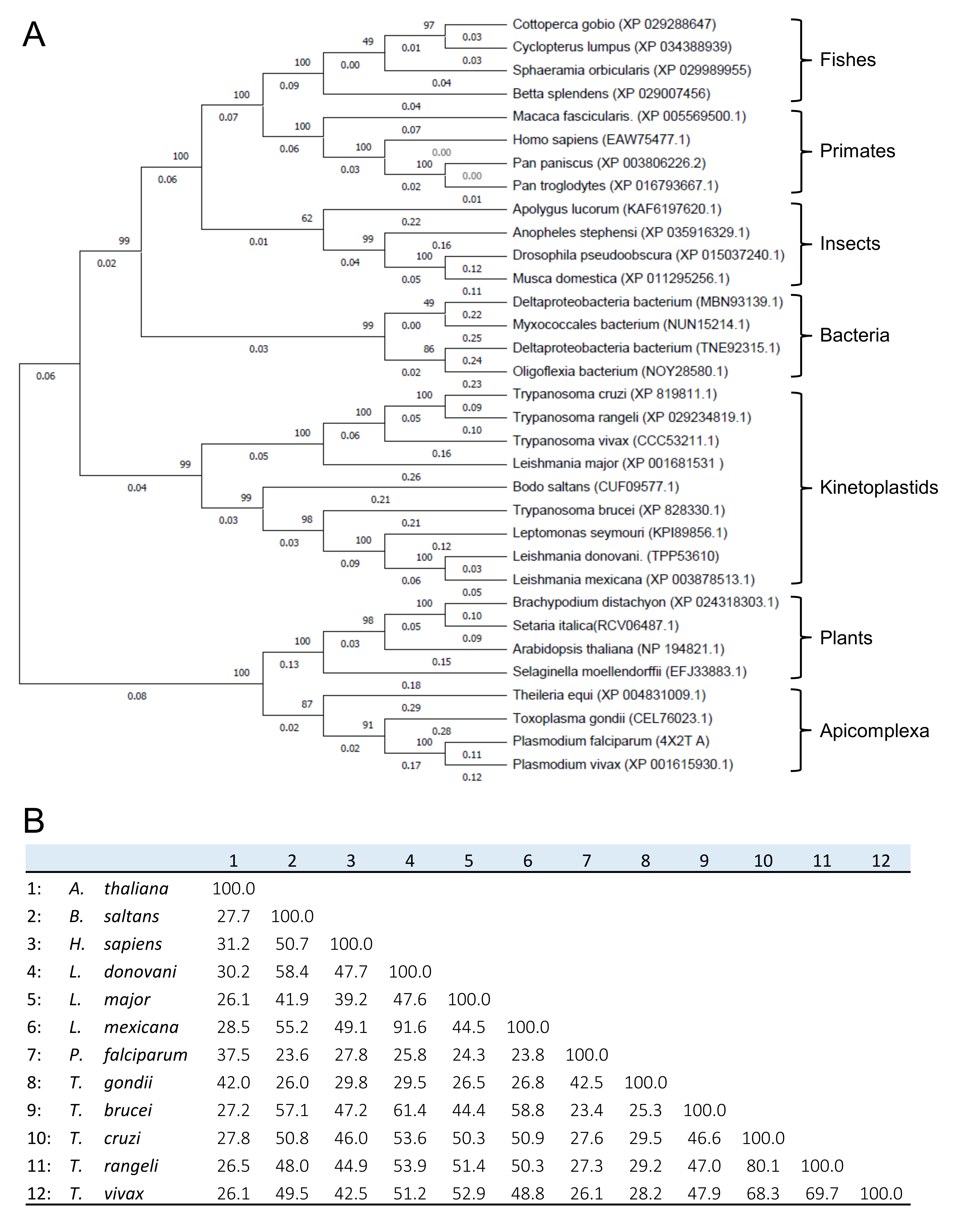 Life 11 01037 g002 Life 11 01037 g002