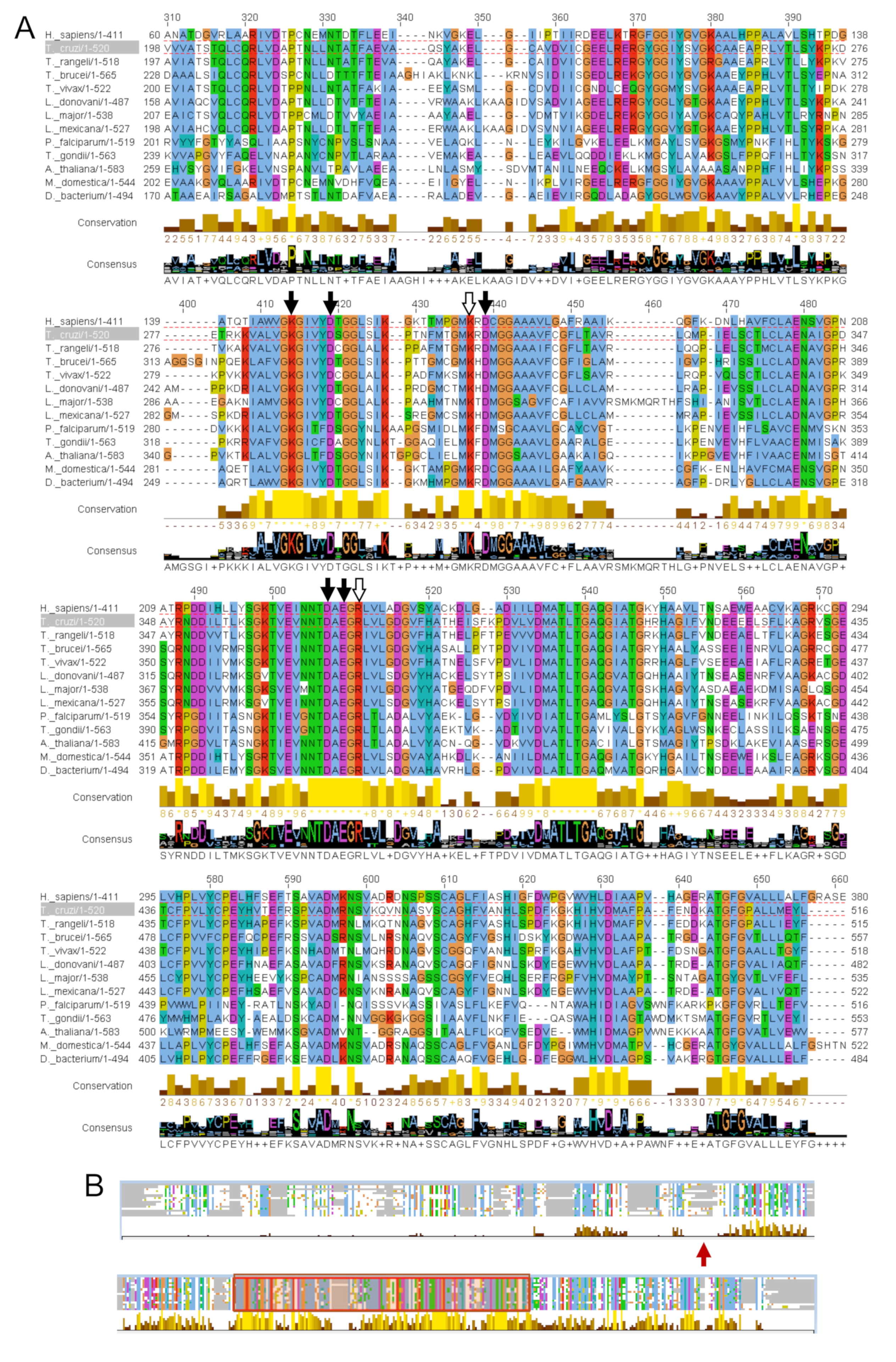 Life 11 01037 g003 Life 11 01037 g003