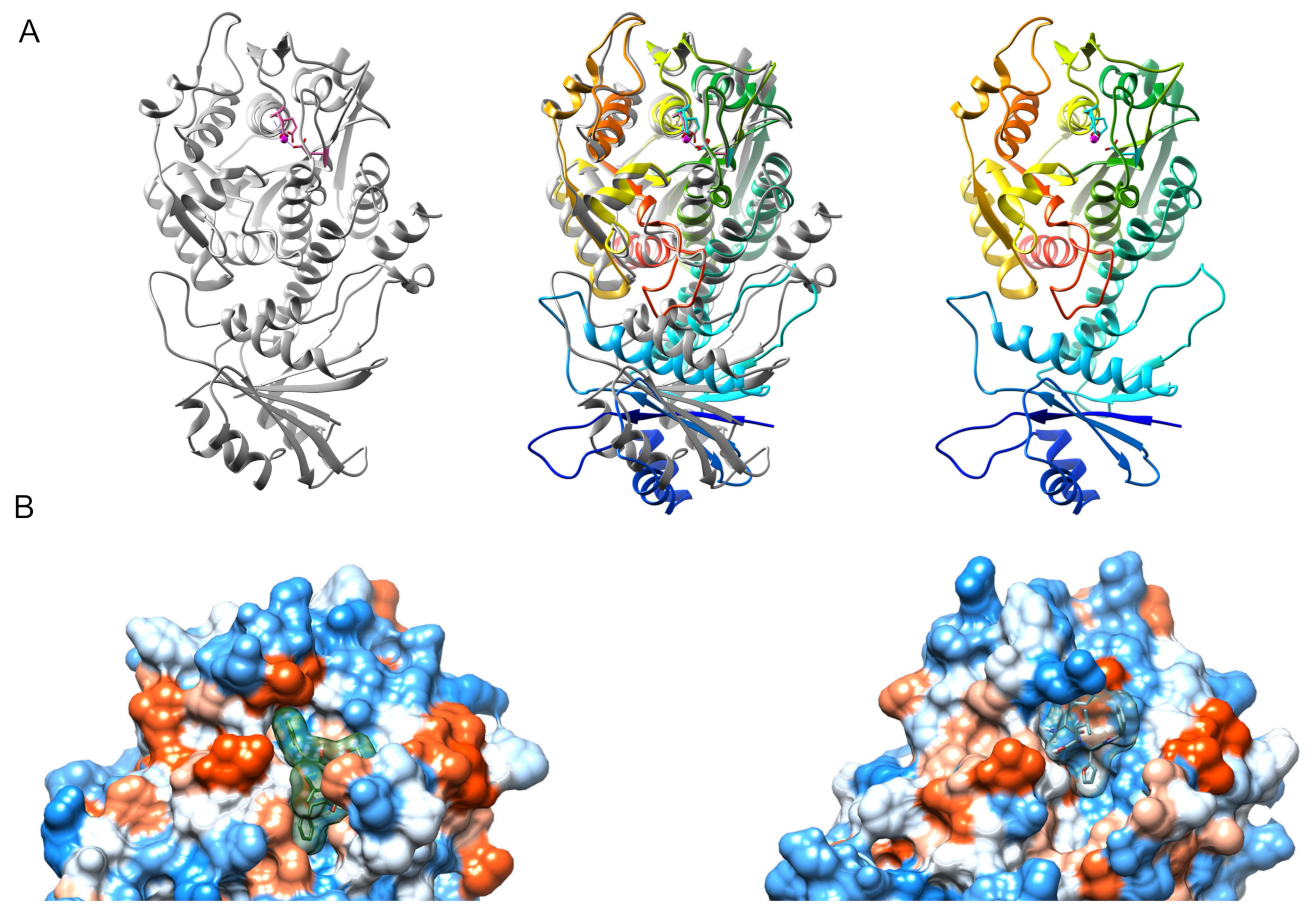 Life 11 01037 g006 Life 11 01037 g006