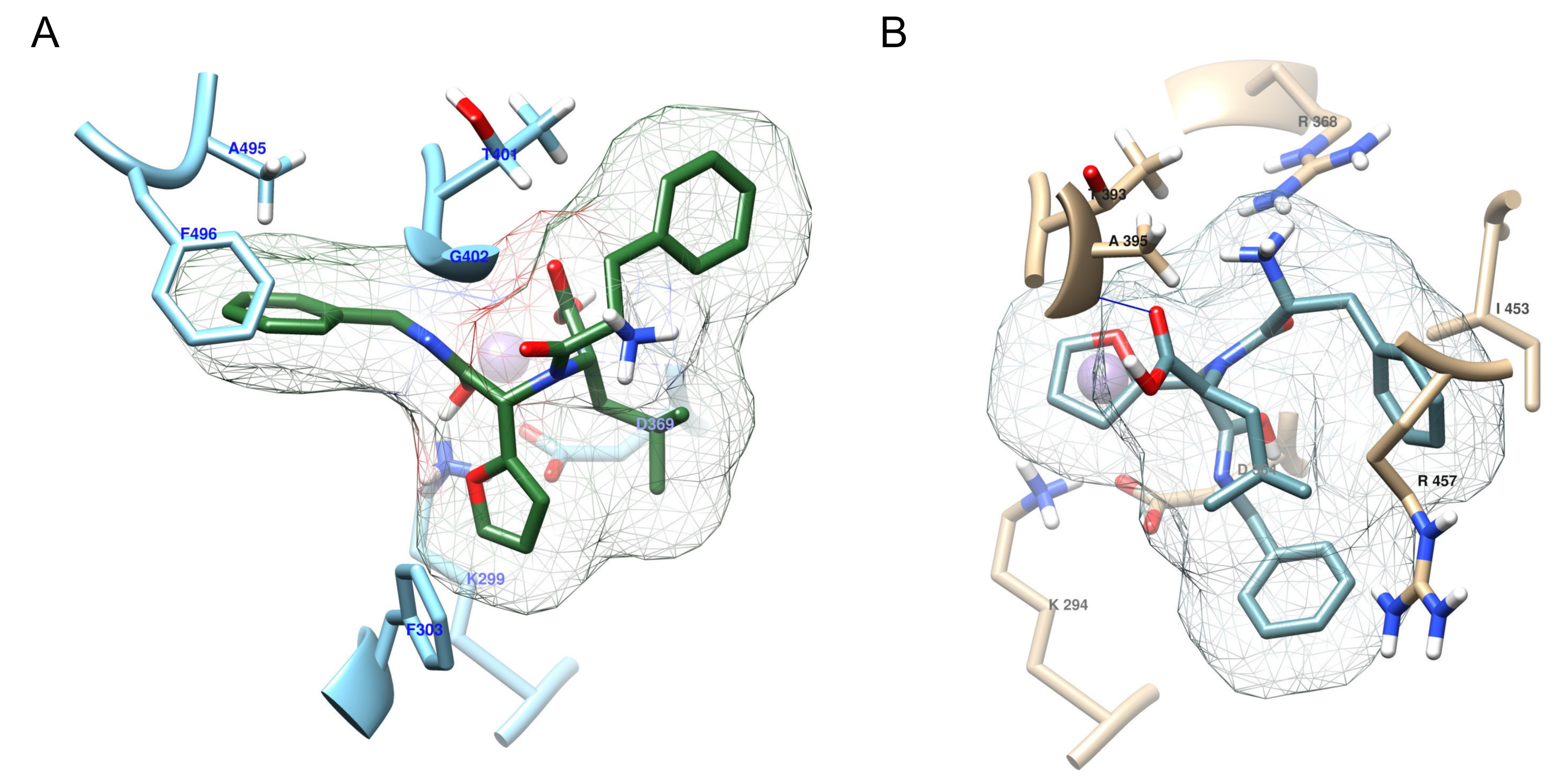 Life 11 01037 g007 Life 11 01037 g007