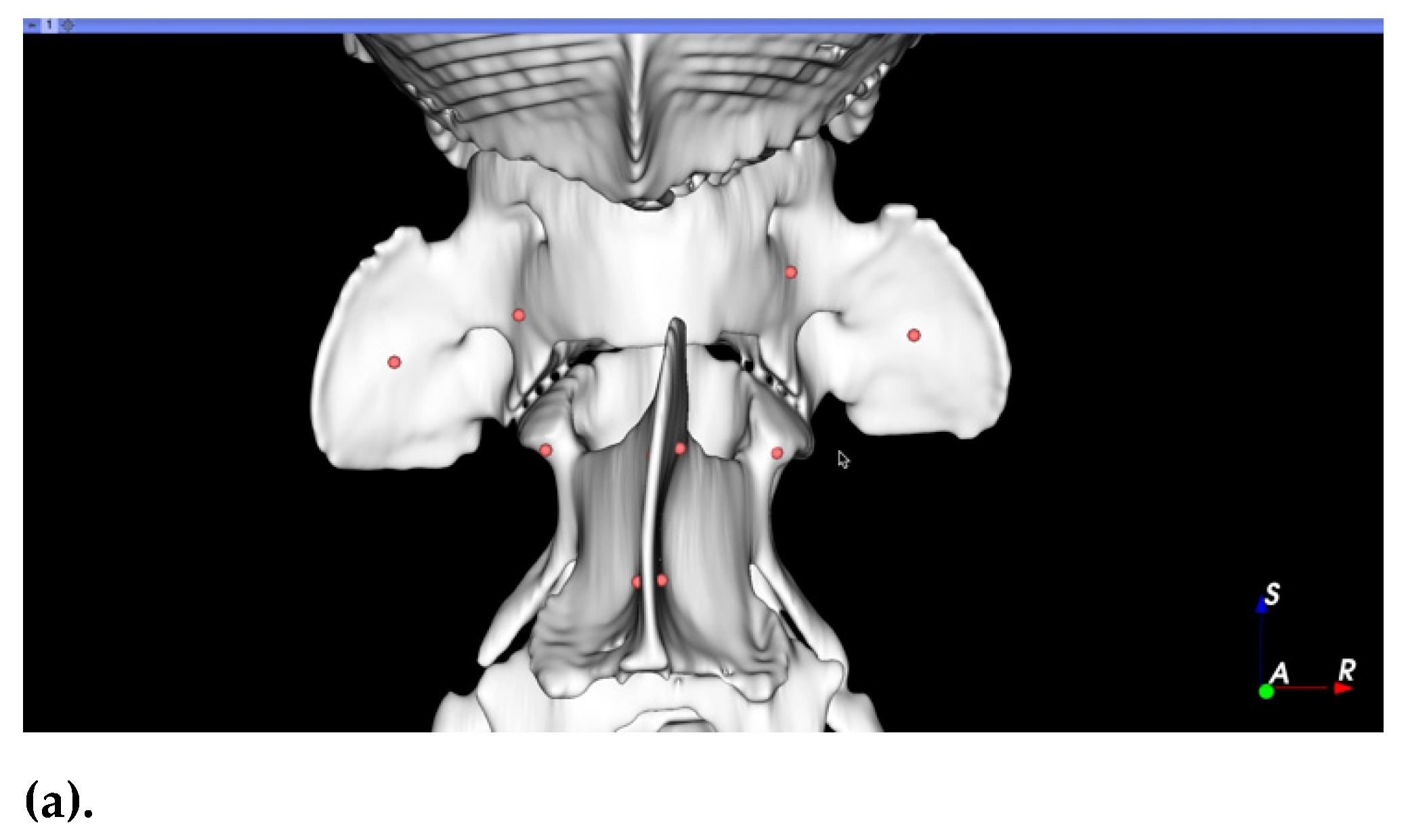 Life 11 01039 g001a Life 11 01039 g001a