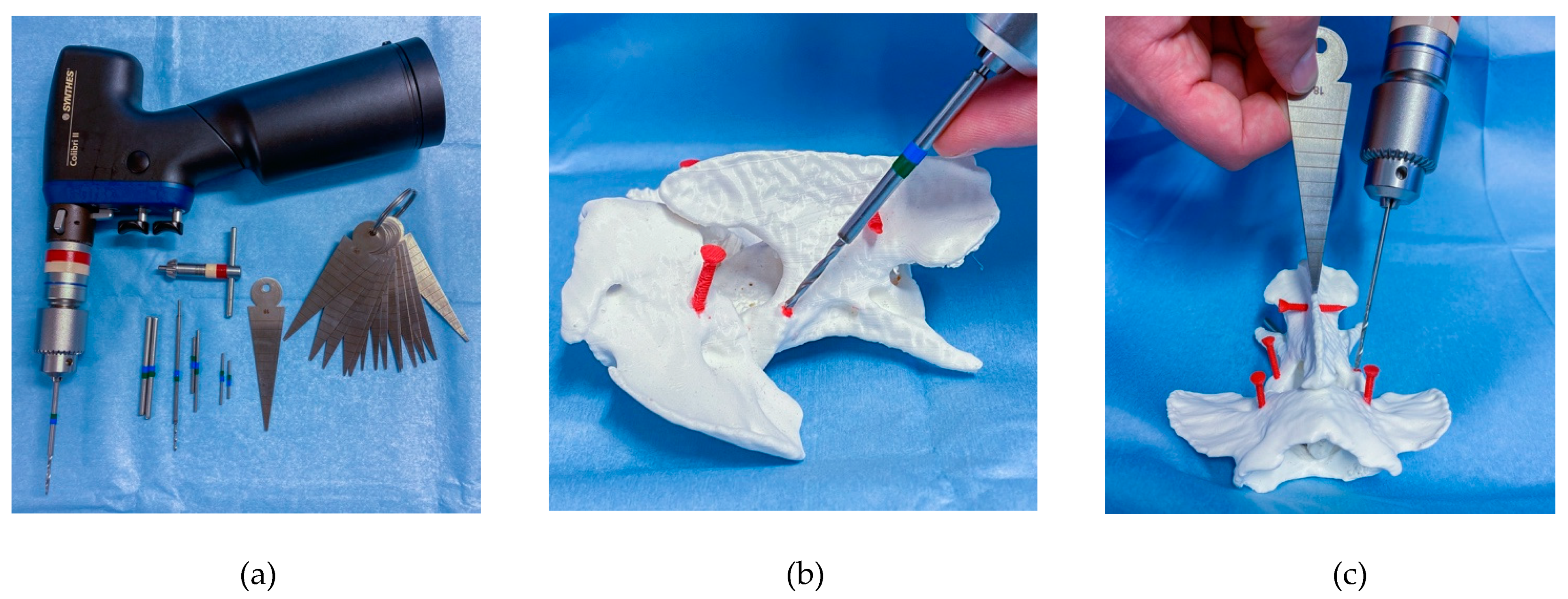 Life 11 01039 g002 Life 11 01039 g002