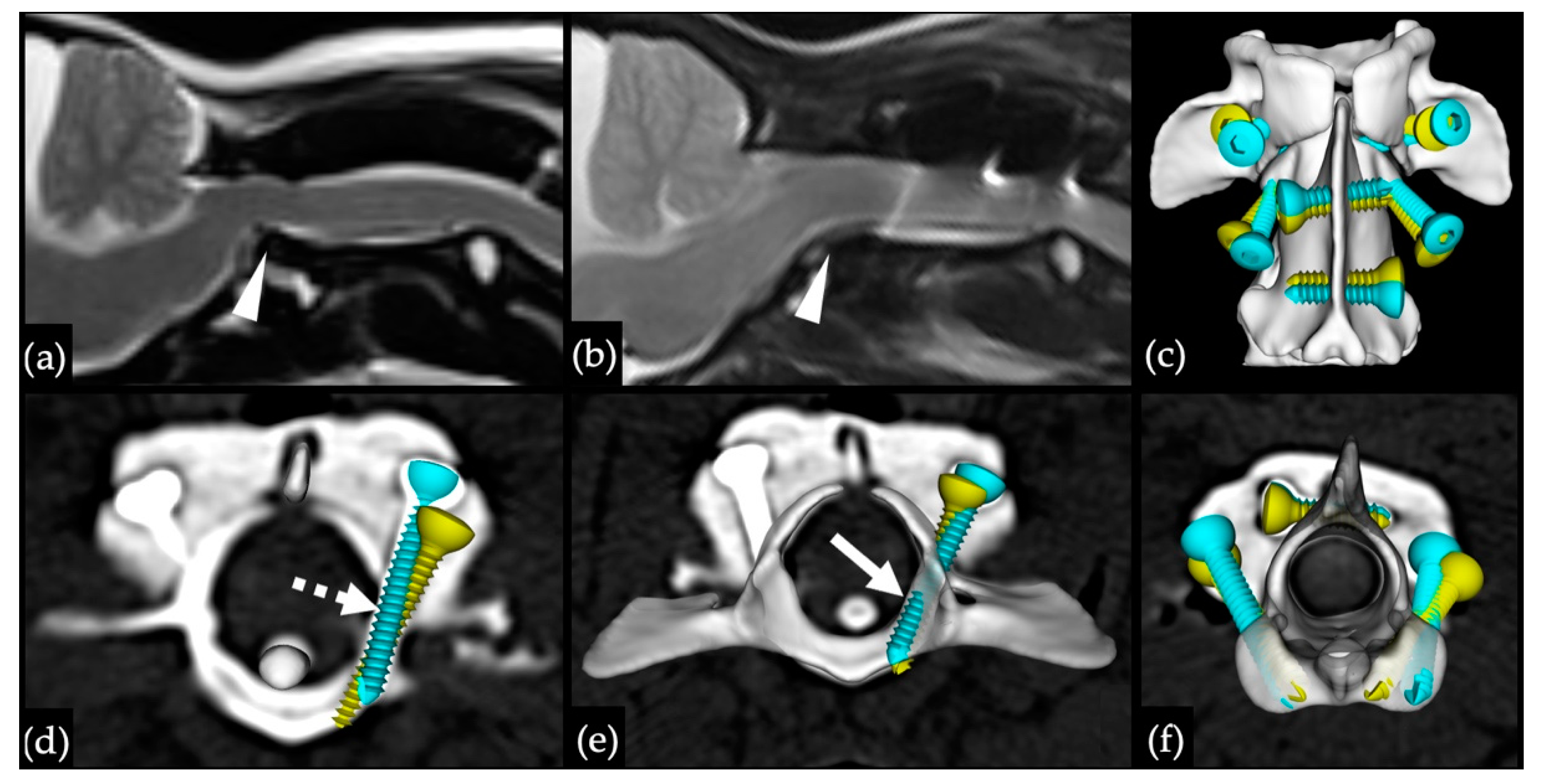 Life 11 01039 g006 Life 11 01039 g006
