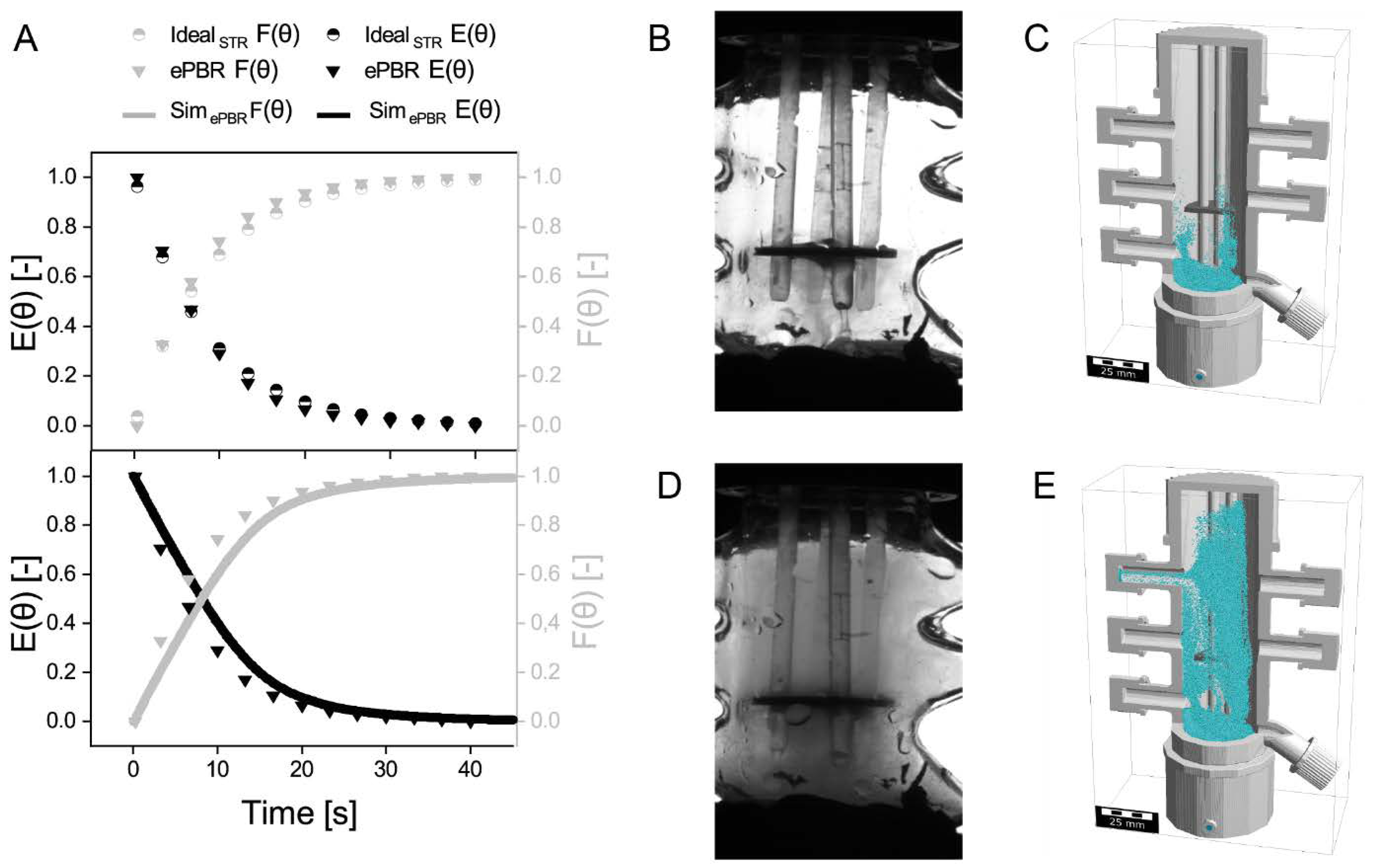 Life 11 01046 g002 550
