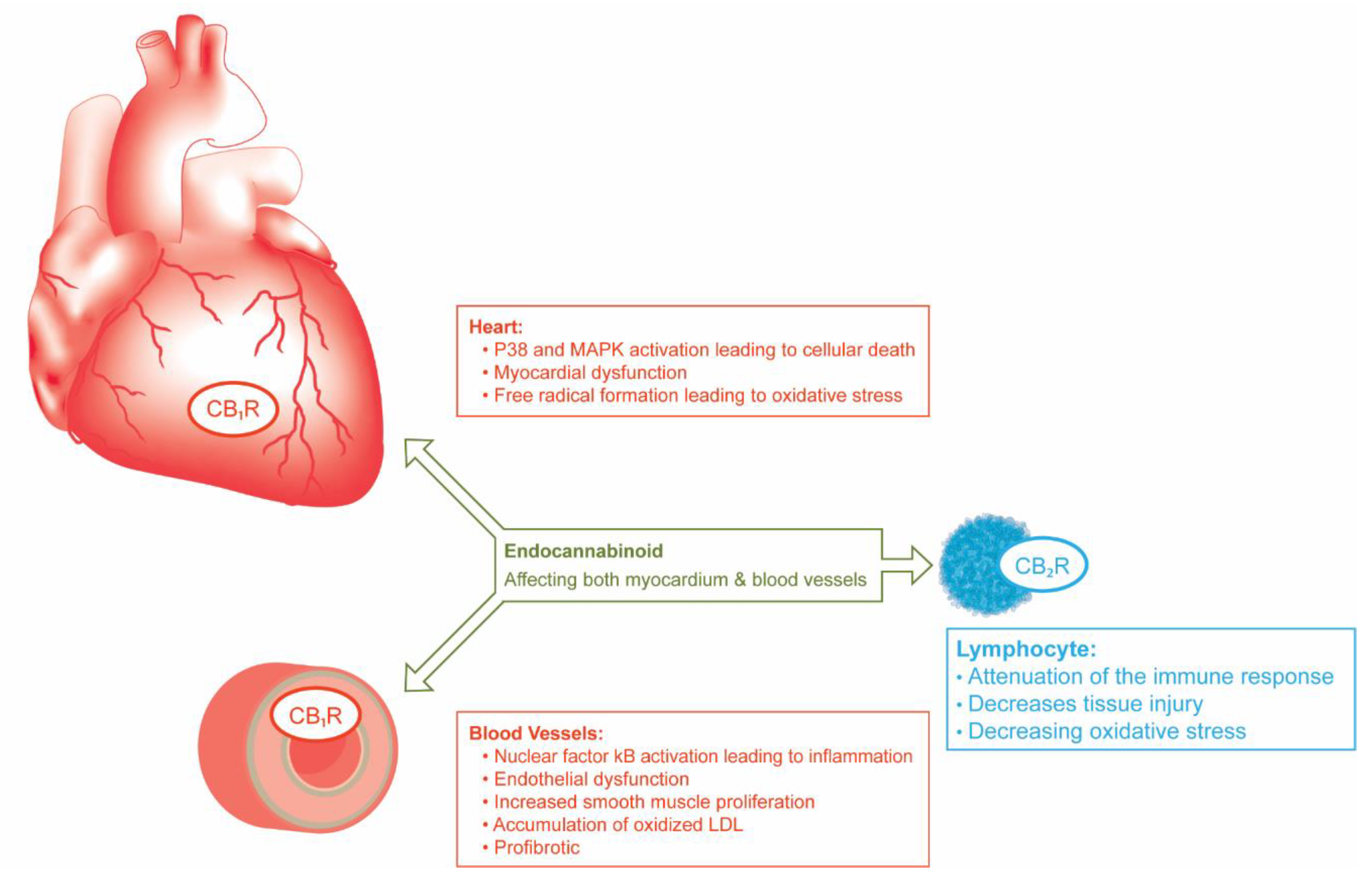 Life 11 01063 g002 Life 11 01063 g002