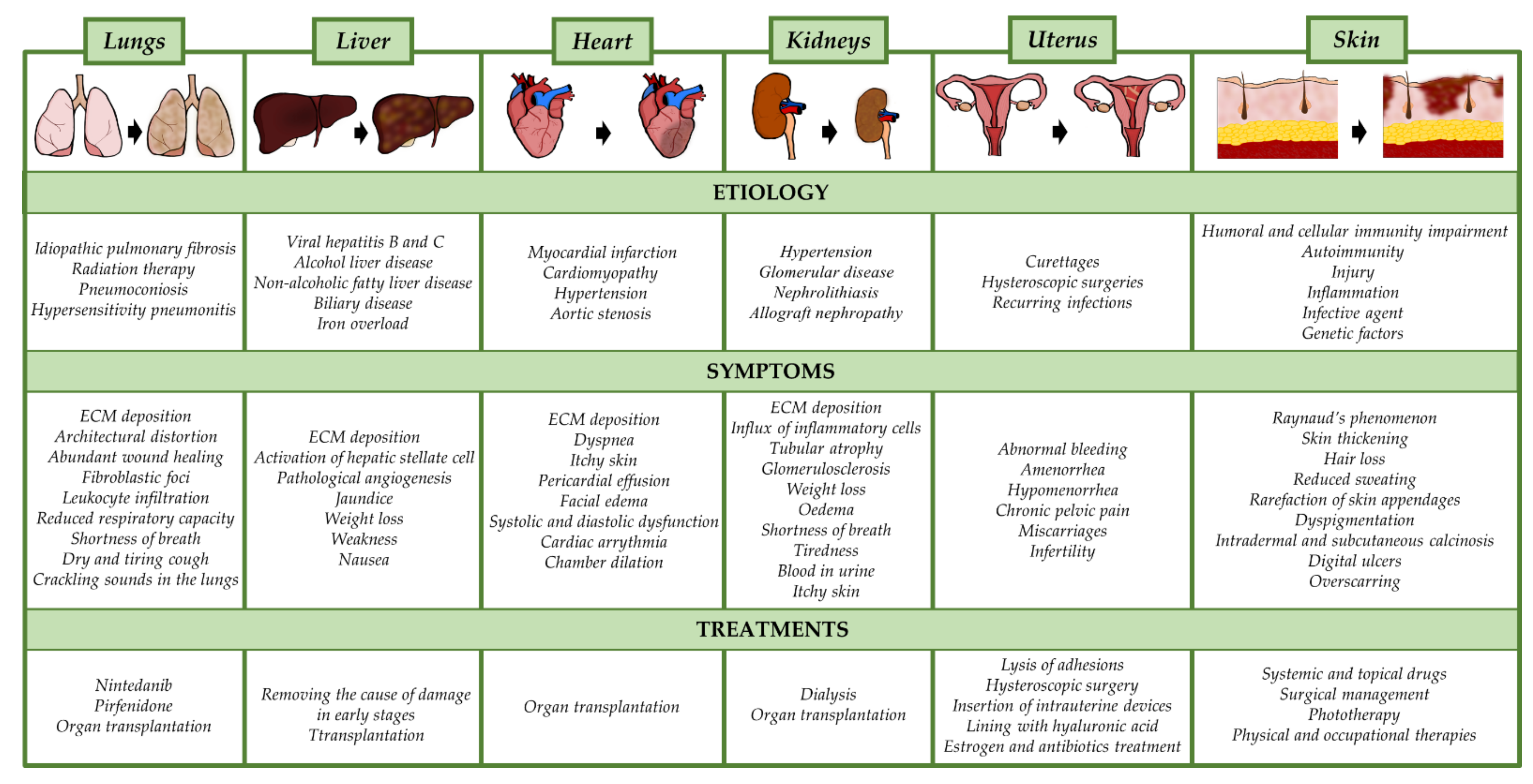 Life 11 01068 g002 Life 11 01068 g002