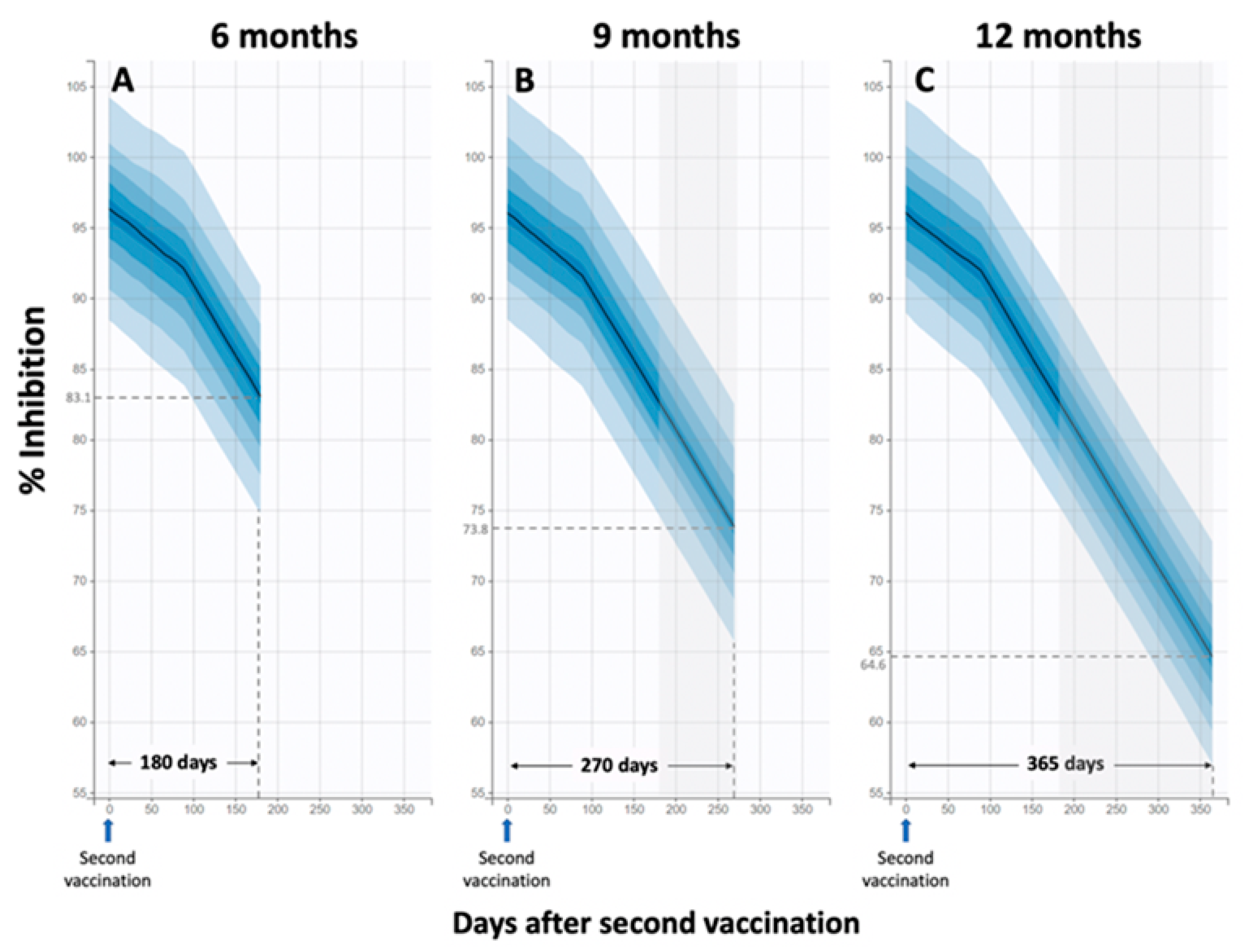 life free full text robust neutralizing antibody responses 6 months post vaccination with bnt162b2 a prospective study in 308 healthy individuals html