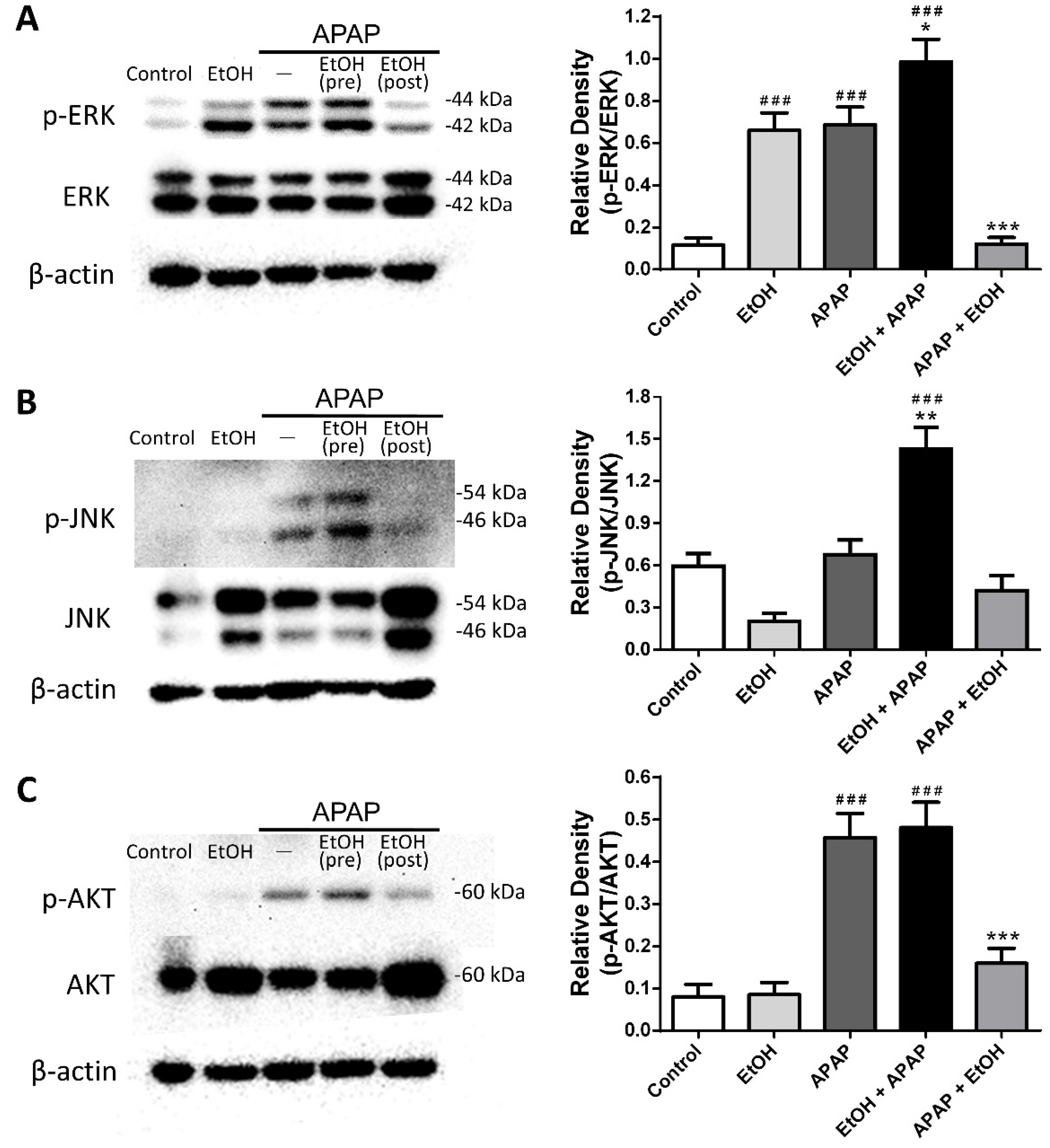 Life 11 01094 g005 550
