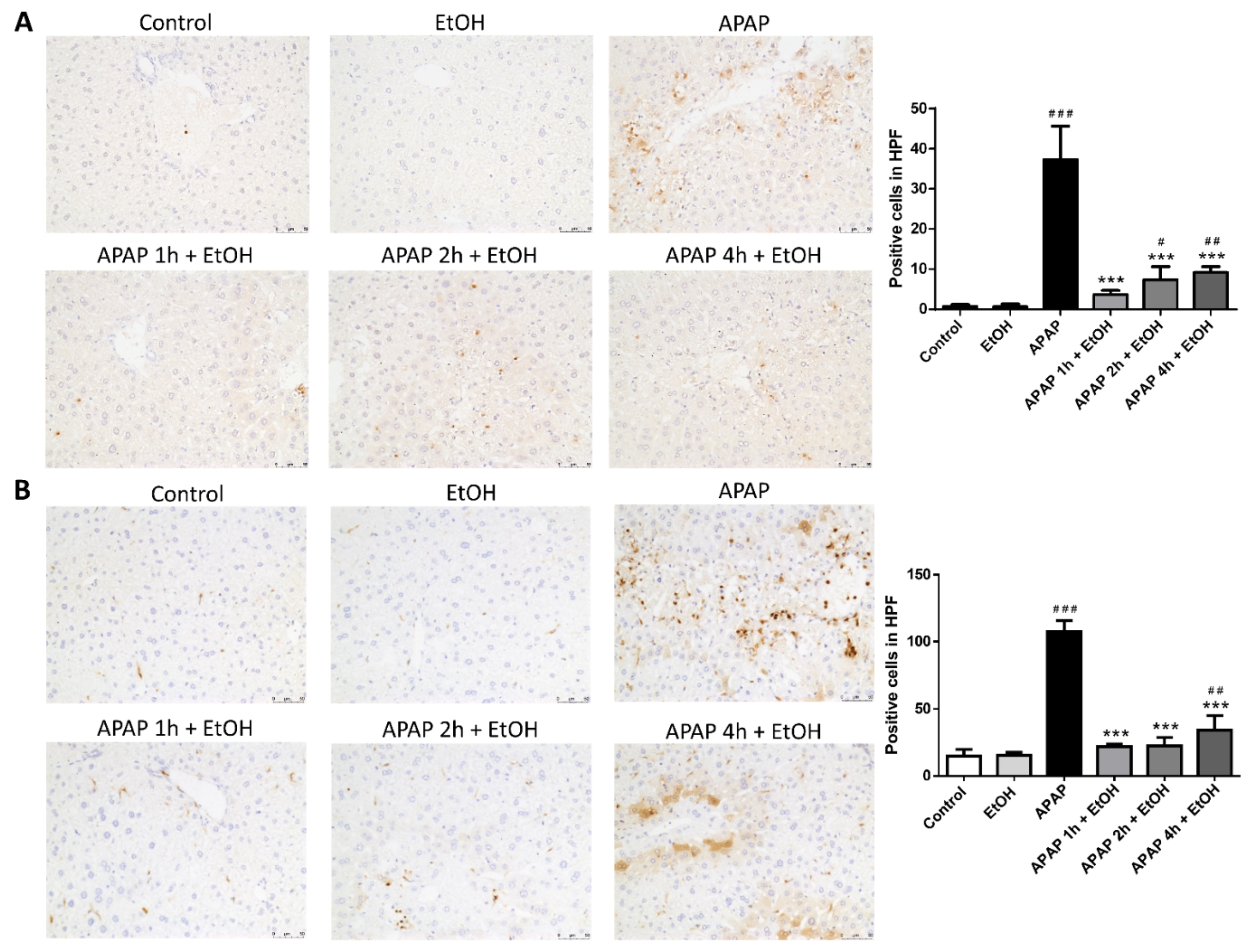Life 11 01094 g007 550
