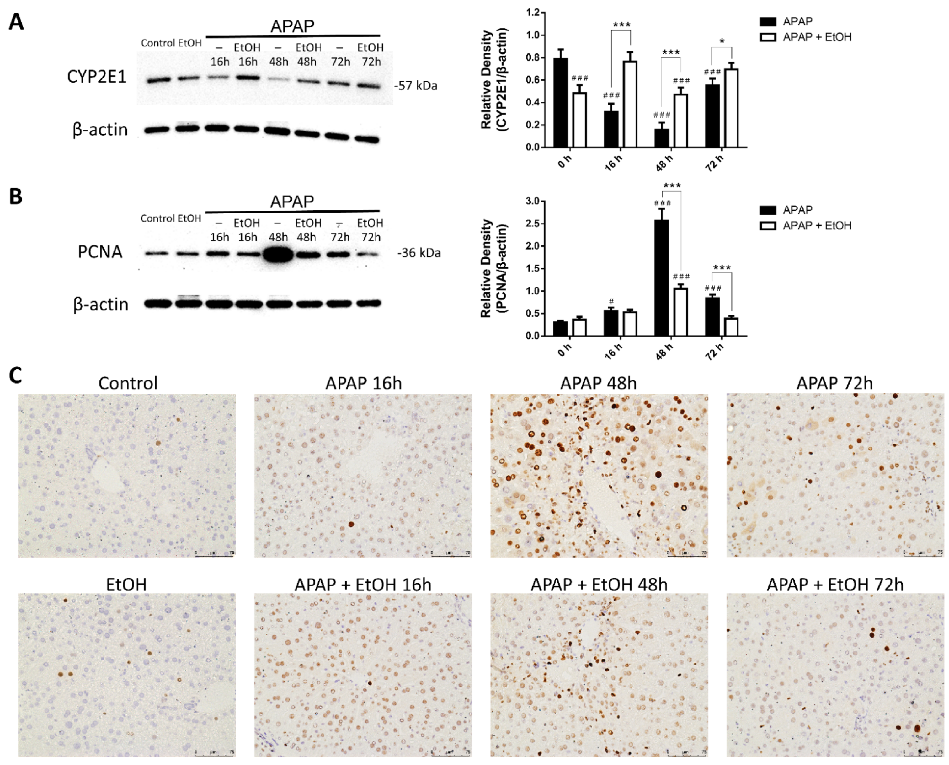 Life 11 01094 g009 550