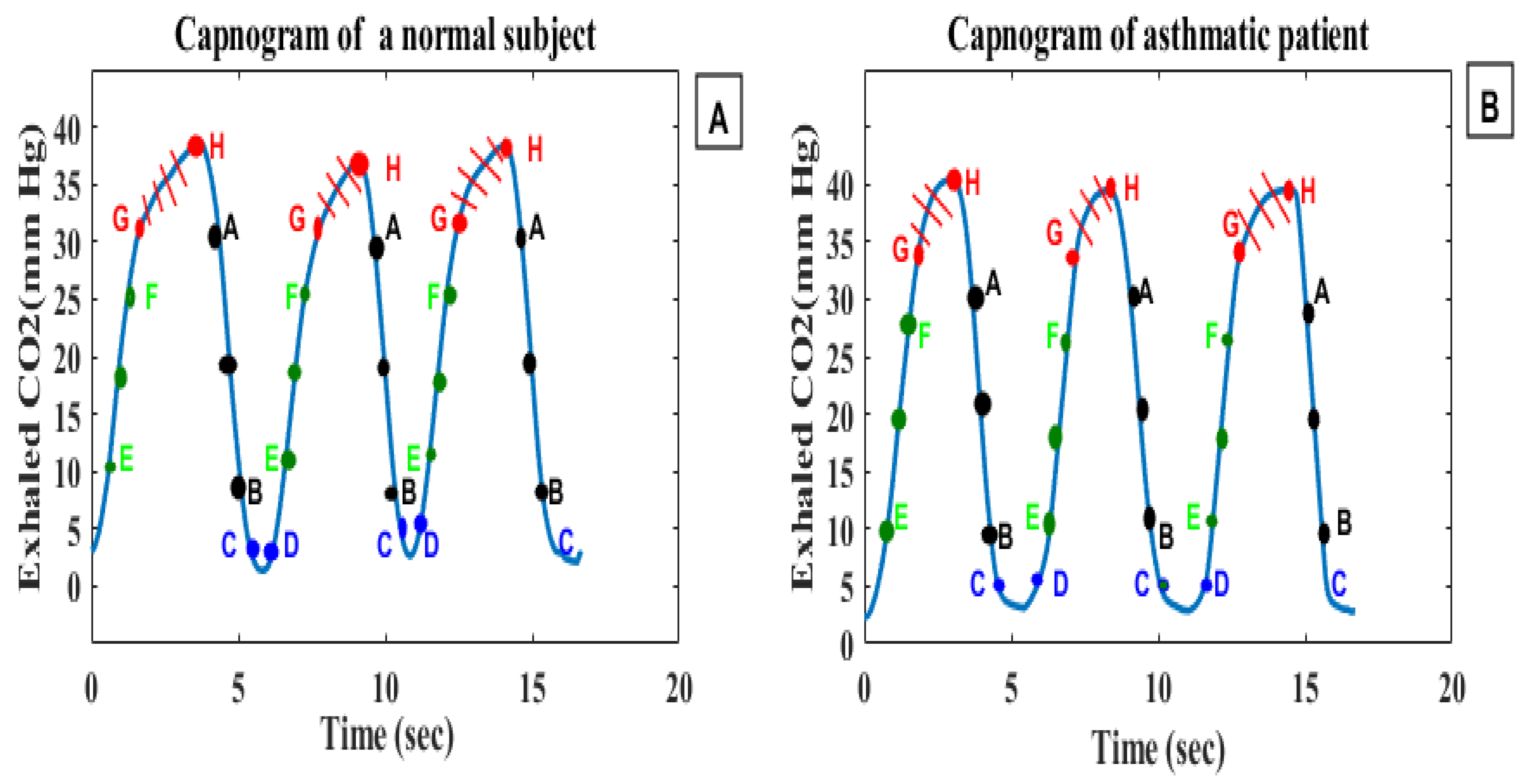 Life 11 01101 g008 Life 11 01101 g008