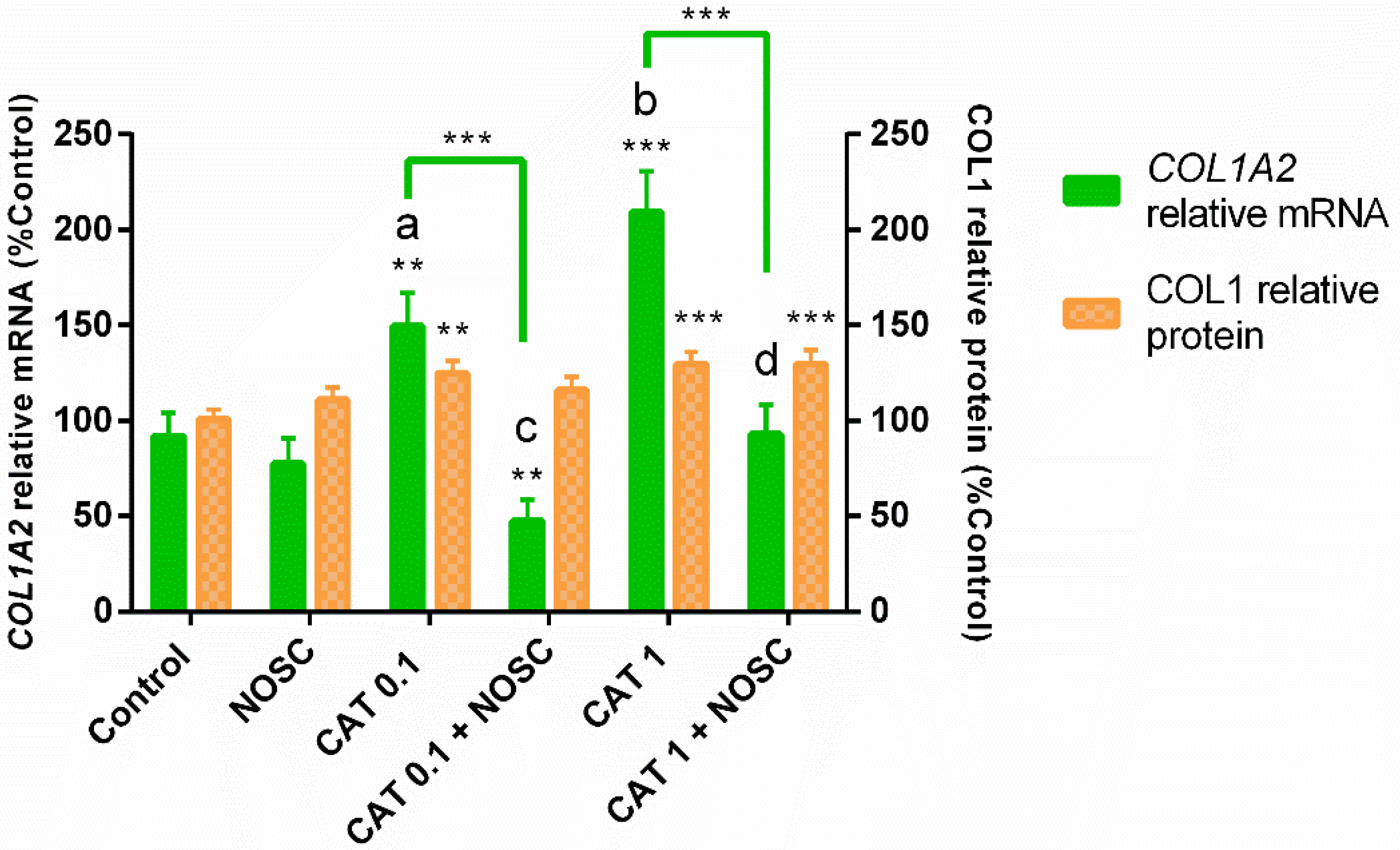 Life 11 01107 g001 Life 11 01107 g001