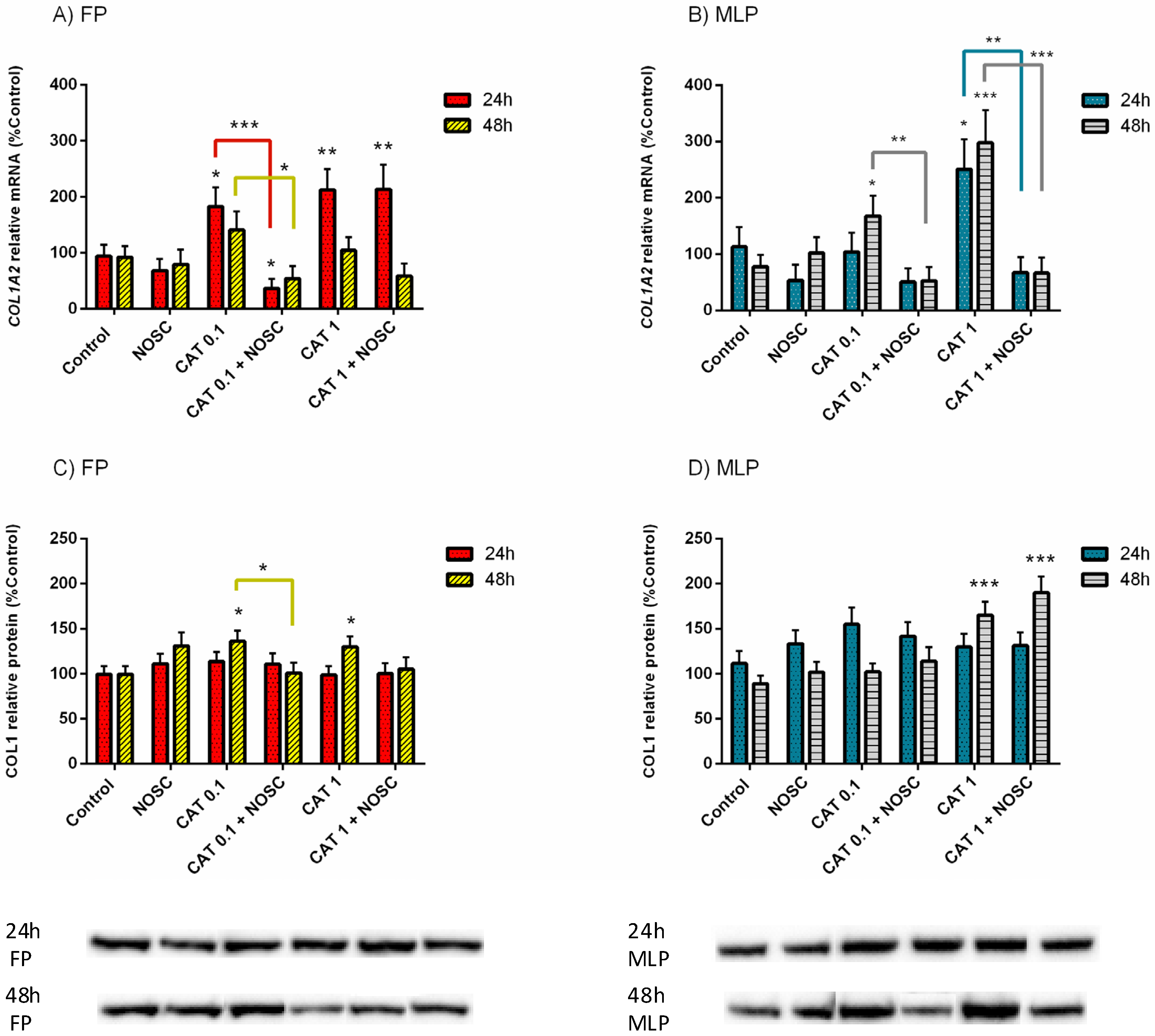 Life 11 01107 g002 Life 11 01107 g002