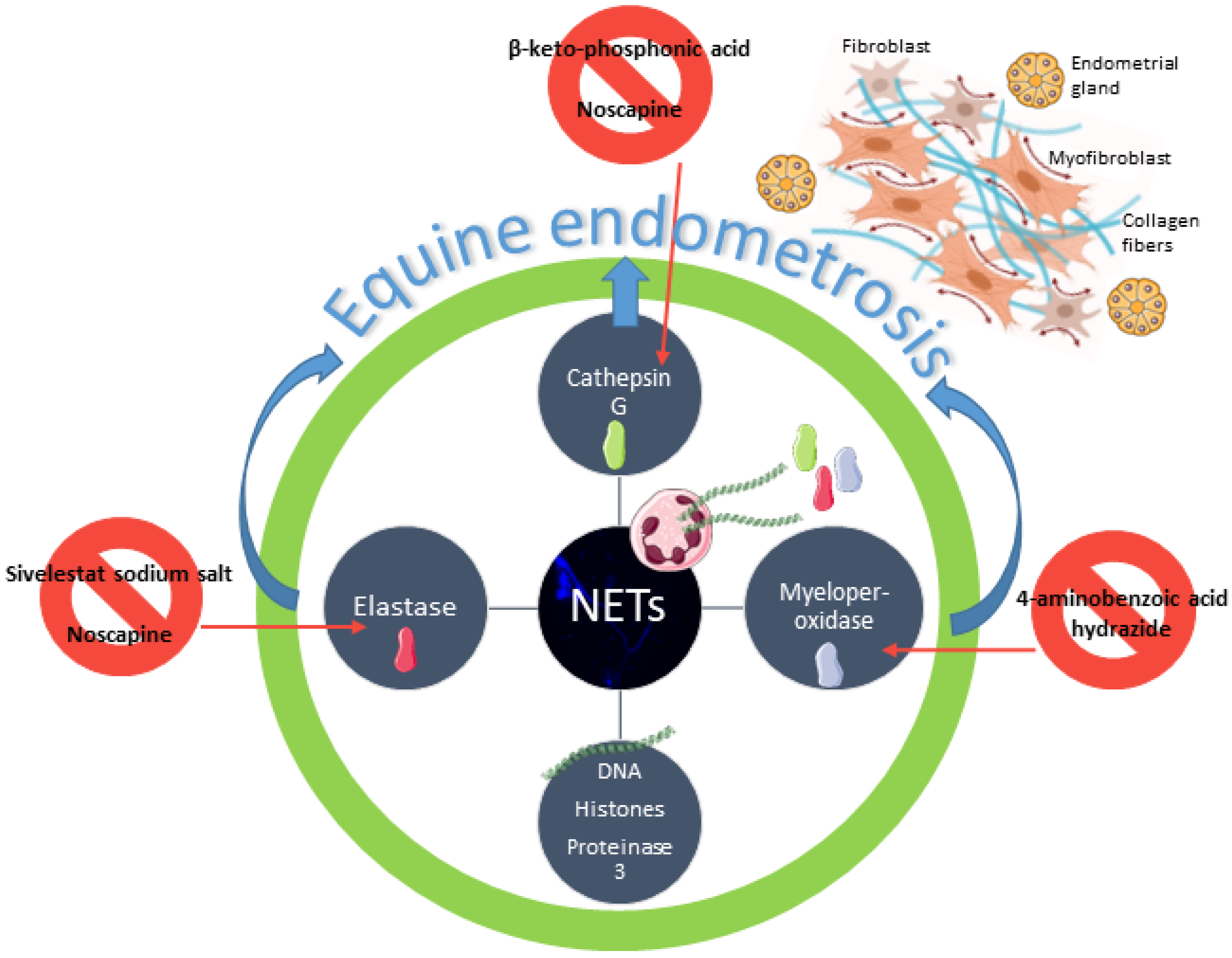 Life 11 01107 g005 Life 11 01107 g005