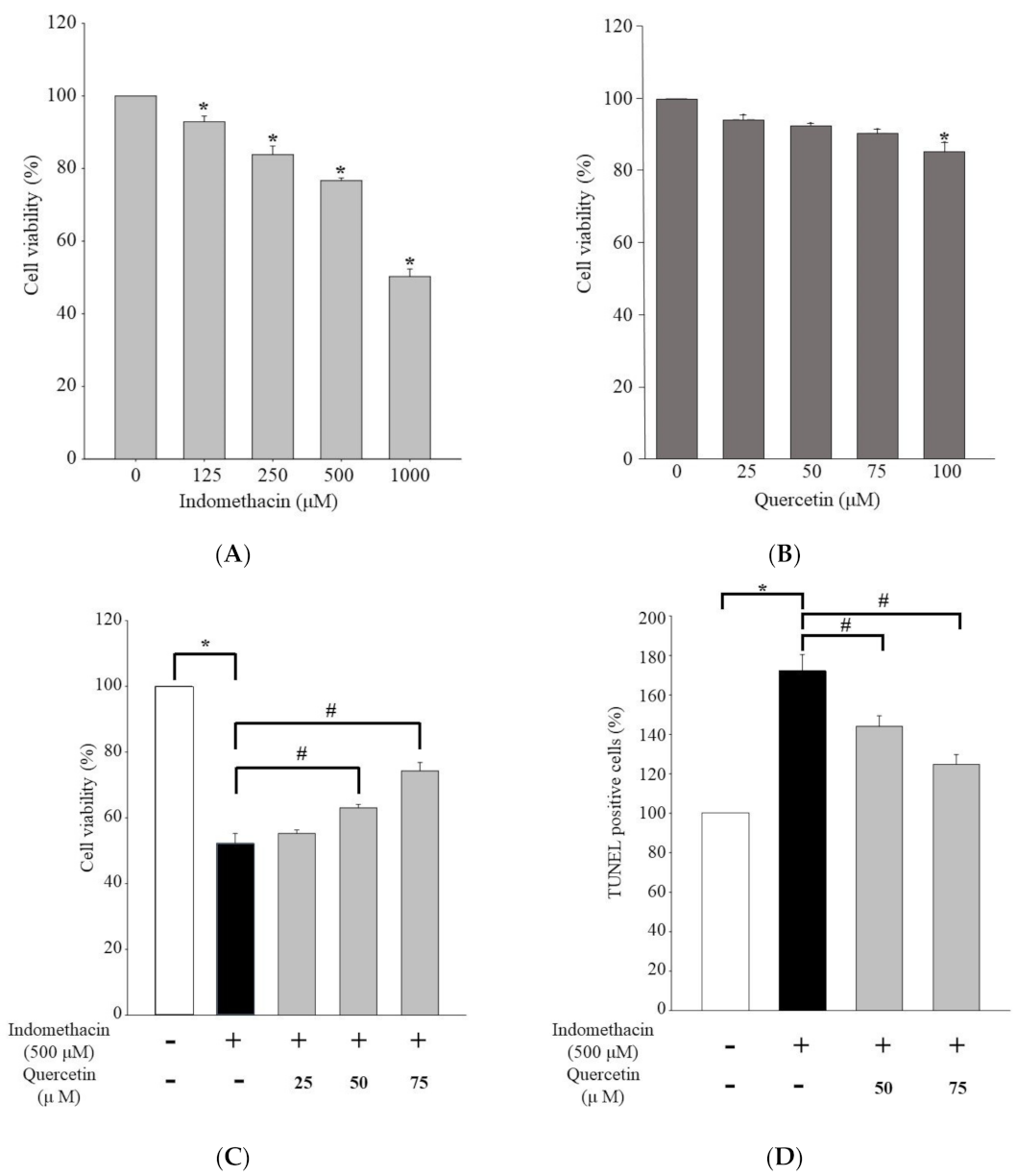 Life 11 01134 g001 Life 11 01134 g001