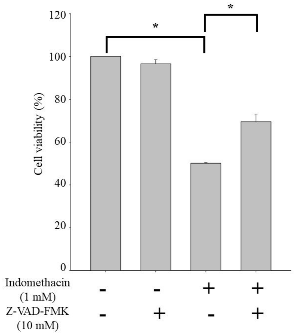 Life 11 01134 g004 Life 11 01134 g004