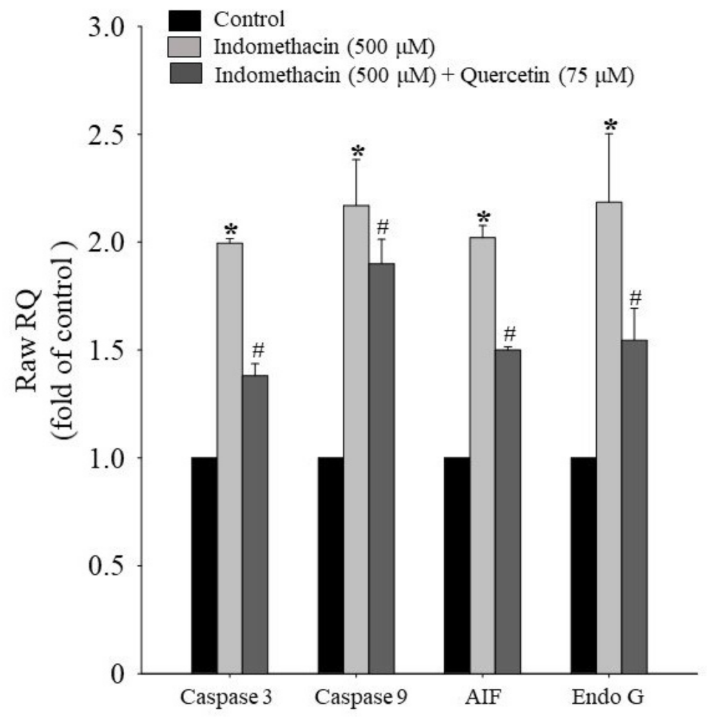 Life 11 01134 g005 Life 11 01134 g005