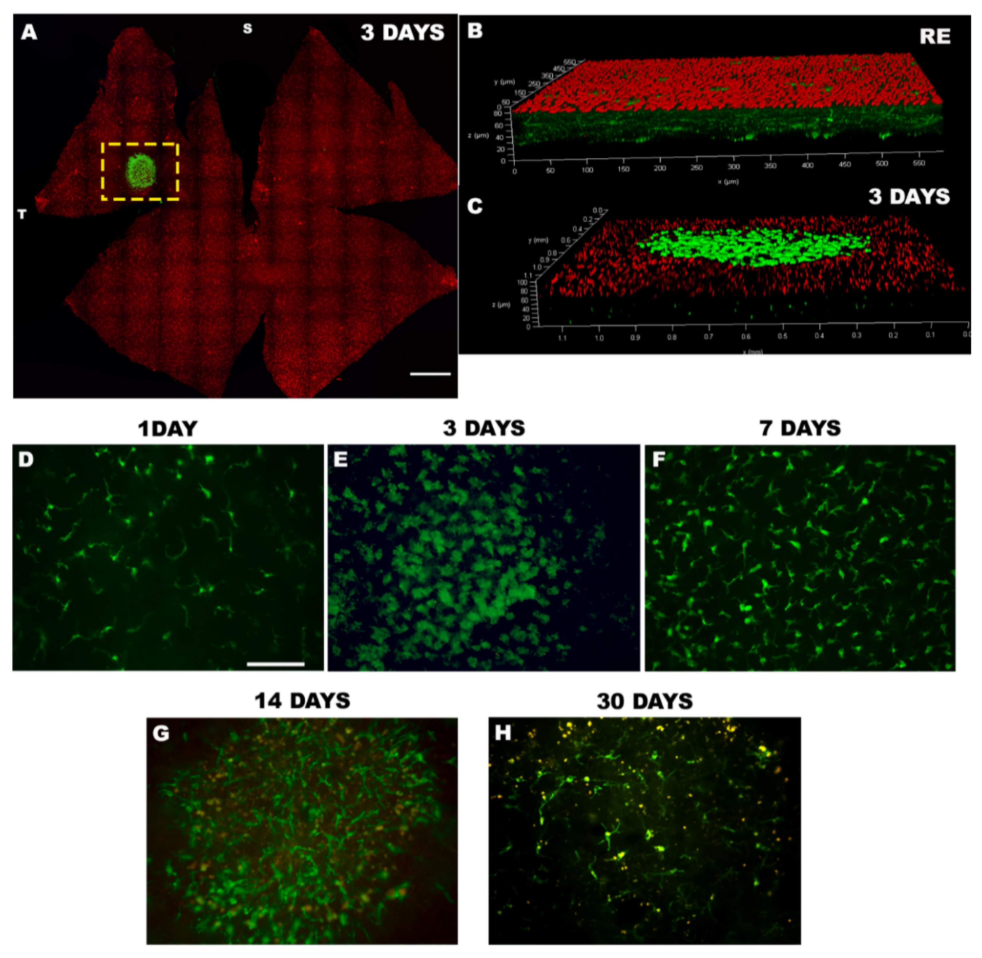 Life 11 01137 g001 Life 11 01137 g001