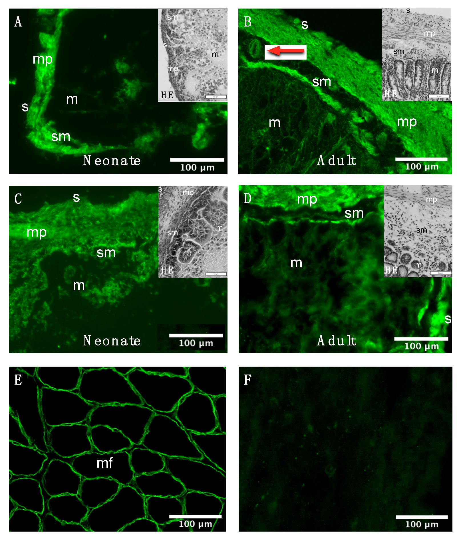 Life 11 01155 g003 Life 11 01155 g003