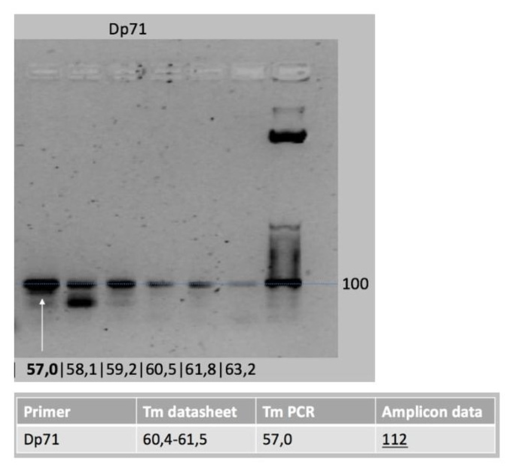 Life 11 01155 g0a2 Life 11 01155 g0a2