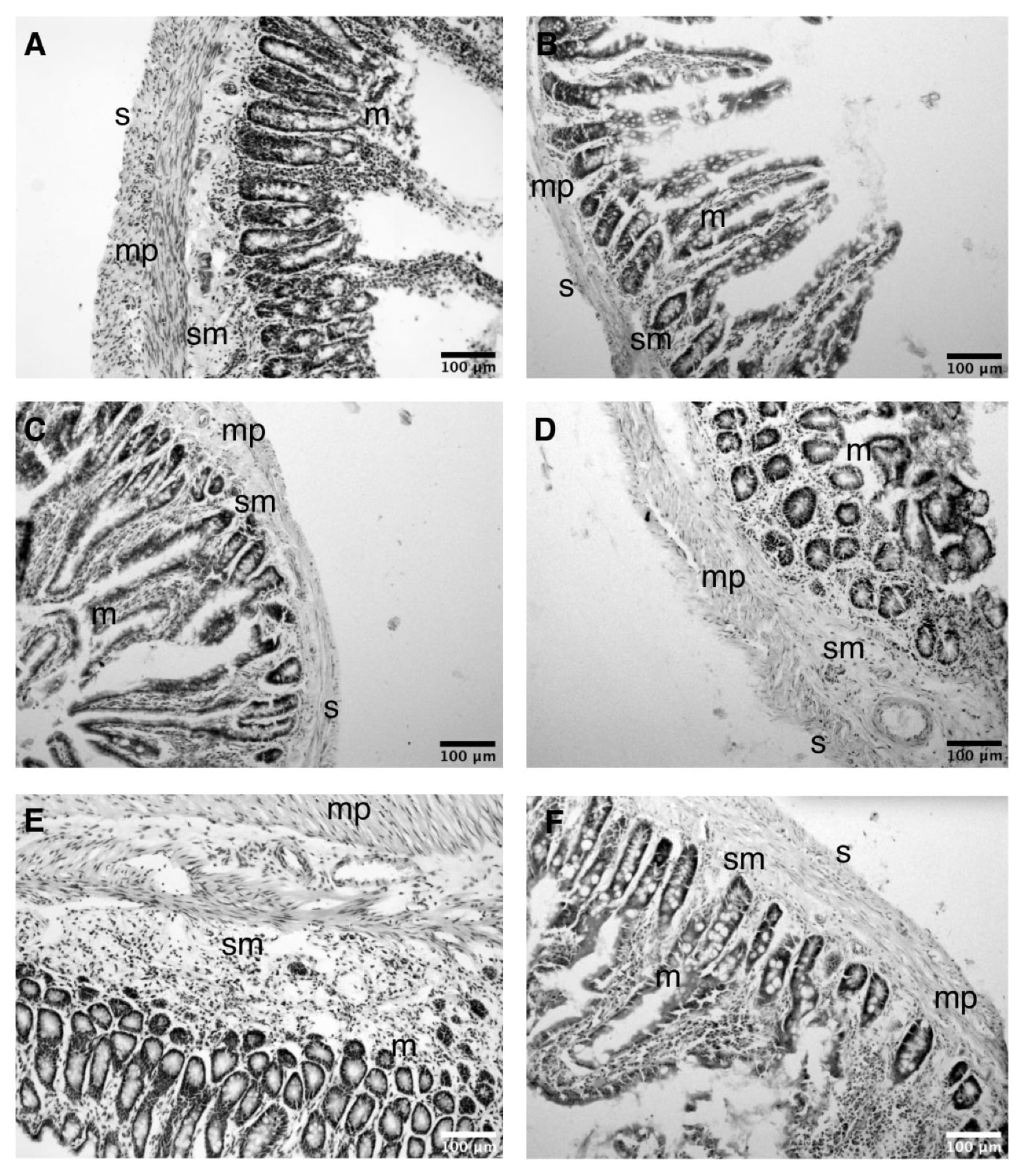 Life 11 01155 g0a4 Life 11 01155 g0a4