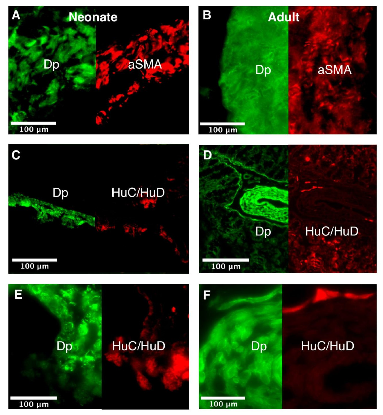 Life 11 01155 g0a6 Life 11 01155 g0a6