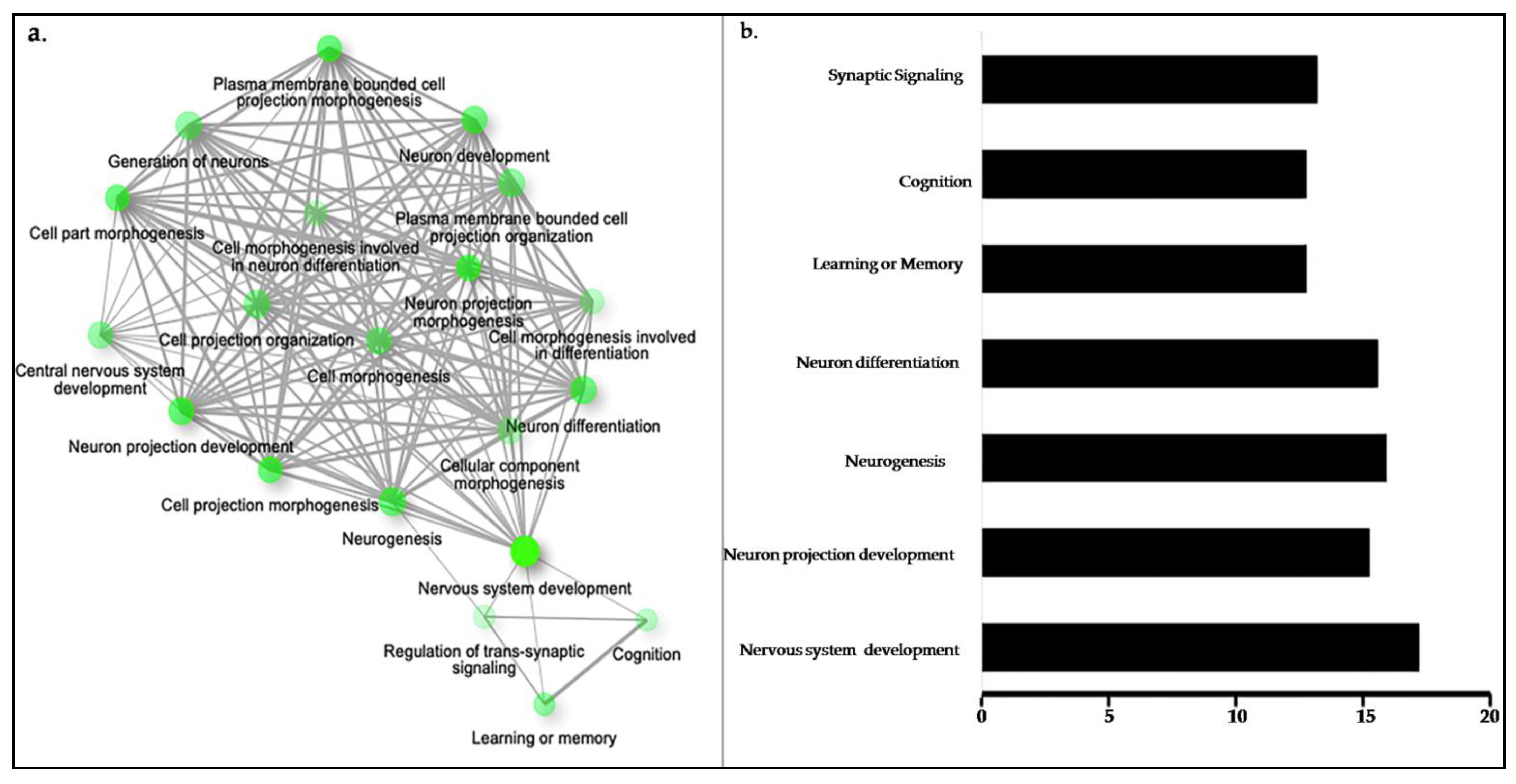 Life 11 01185 g003 550