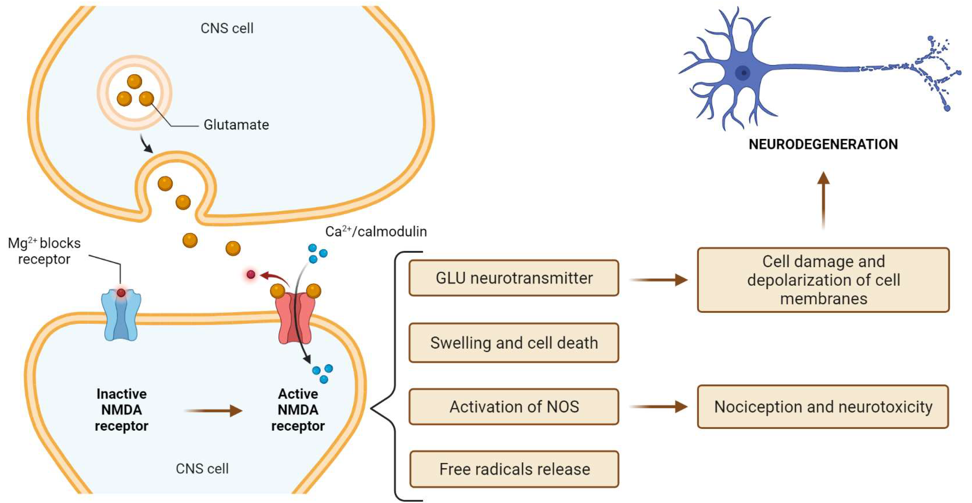 Life Free Full Text Ketamine New Possibilities In The Treatment Of Depression A Narrative Review Html