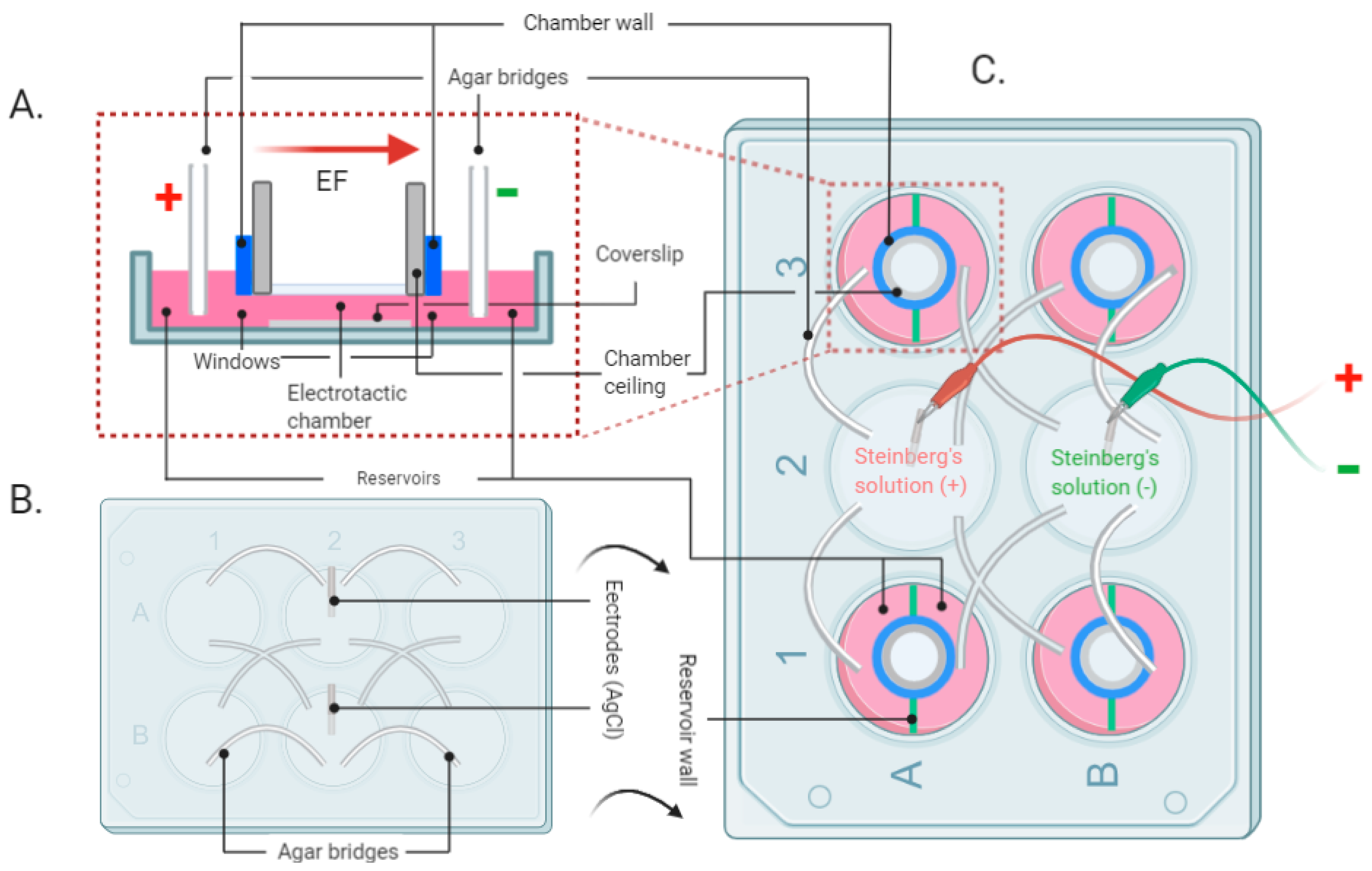 Life 11 01195 g001 Life 11 01195 g001