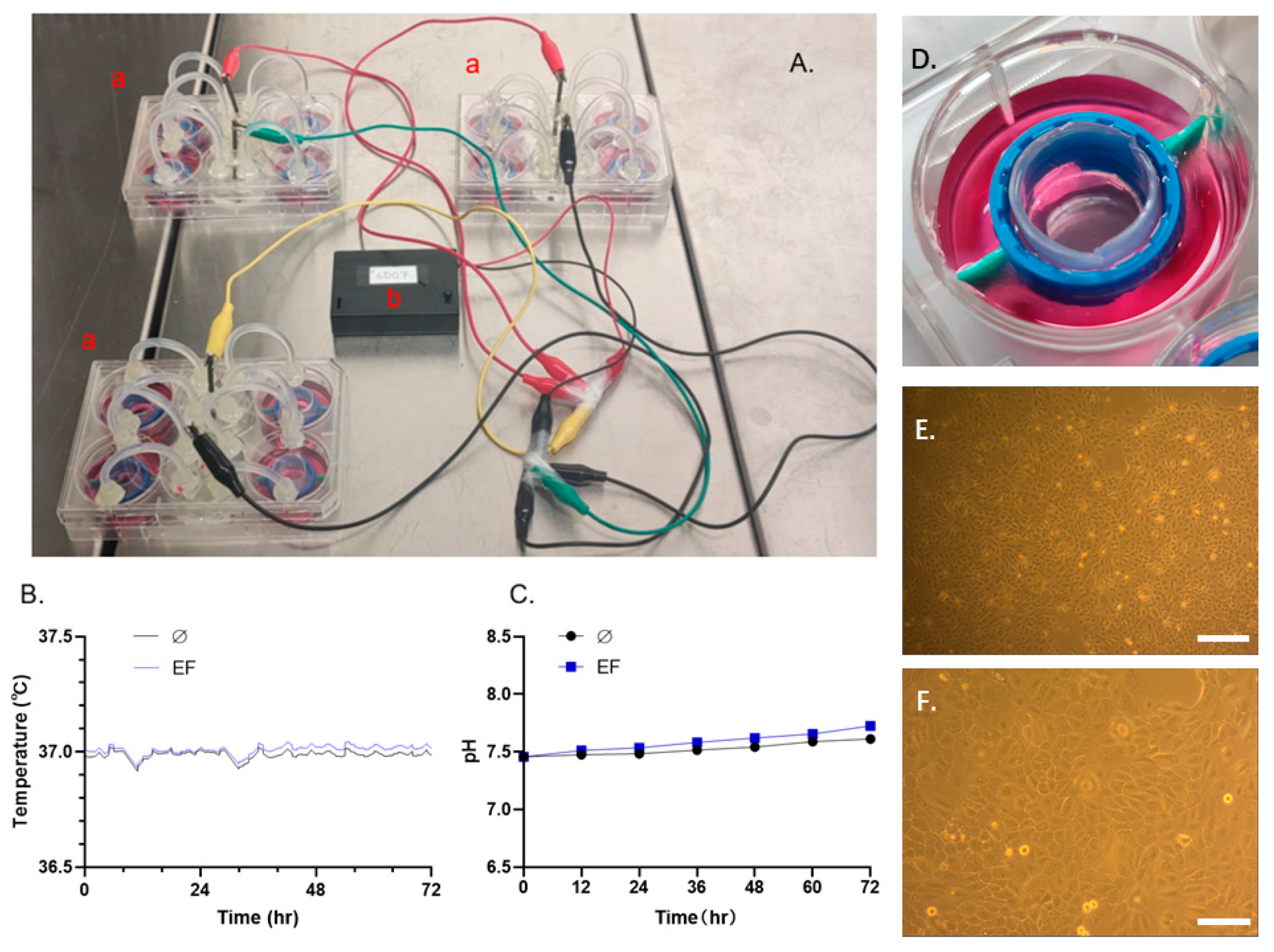 Life 11 01195 g002 Life 11 01195 g002