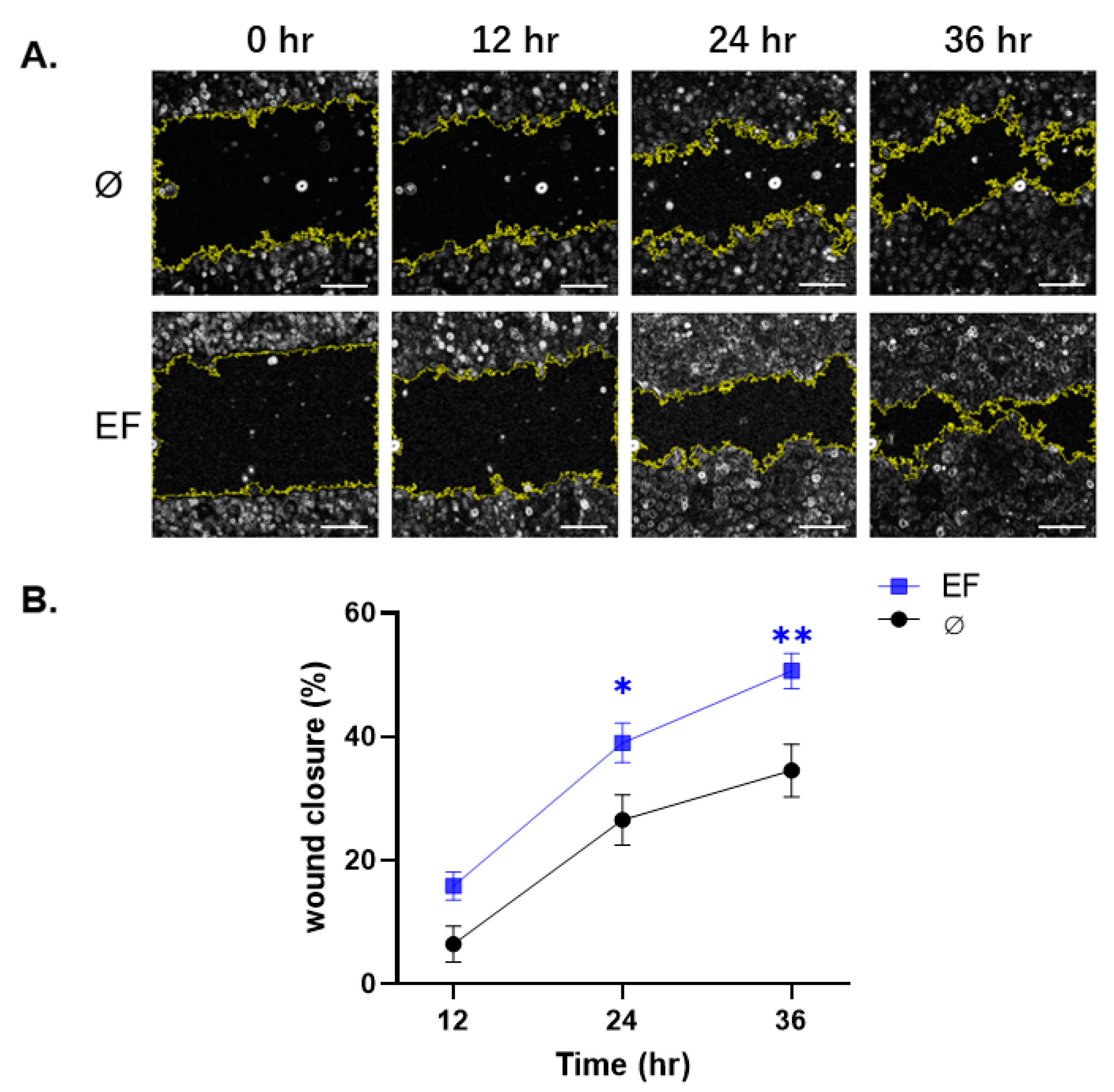 Life 11 01195 g003 Life 11 01195 g003